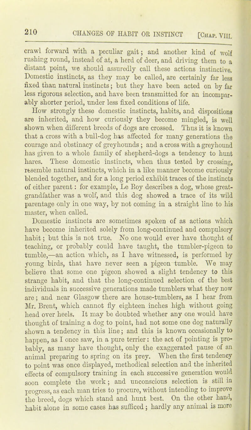 CHANGES OF HABIT OR INSTINCT [Ciiap. VIII. crawl forward with a peculiar gait; and another kind of wolf rushing round, instead of at, a herd of deer, and driving them to a distant point, we should assuredly call these actions instinctive. Domestic instincts, as they may he called, are certainly far less fixed than natural instincts; hut they have been acted on by far less rigorous selection, and have been transmitted for an incompar- ably shorter period, under less fixed conditions of life. How strongly these domestic instincts, habits, and dispositions are inherited, and how curiously they become mingled, is well shown when different breeds of dogs are crossed. Thus it is known that a cross with a bull-dog has affected for many generations the courage and obstinacy of greyhounds ; and a cross with a greyhound has given to a whole family of shepherd-dogs a tendency to hunt hares. These domestic instincts, when thus tested by crossing, resemble natural instincts, which in a like manner become curiously blended together, and for a long period exhibit traces of the instincts of either parent: for example, Le Boy describes a dog, whose great- grandfather was a wolf, and this dog showed a trace of its wild parentage only in one way, by not coming in a straight line to his master, when called. Domestic instincts are sometimes spoken of as actions which have become inherited solely from long-continued and compulsory habit; but this is not true. No one would ever have thought of teaching, or probably could have taught, the tumbler-pigeon to tumble,—an action which, as I have witnessed, is performed by young birds, that have never seen a pigeon tumble. We may believe that some one pigeon showed a slight tendency to this strange habit, and that the long-continued selection of the best individuals in successive generations made tumblers what they now are; and near Glasgow there are house-tumblers, as I hear from Mr. Brent, which cannot fly eighteen inches high without going head over heels. It may be doubted whether any one would have thought of training a dog to point, had not some one dog naturally shown a tendency in this line; and this is known occasionally to happen, as I once saw, in a pure terrier: the act of pointing is pro- bably, as many have thought, only the exaggerated pause of an animal preparing to spring on its prey. When the first tendency to point was once displayed, methodical selection and the inherited effects of compulsory training in each successive generation would soon complete the work; and unconscious selection is still in progress, as each man tries to procure, without intending to improve the breed, dogs which stand and hunt best. On the other hand, habit alone in some cases has sufficed; hardly any animal is more