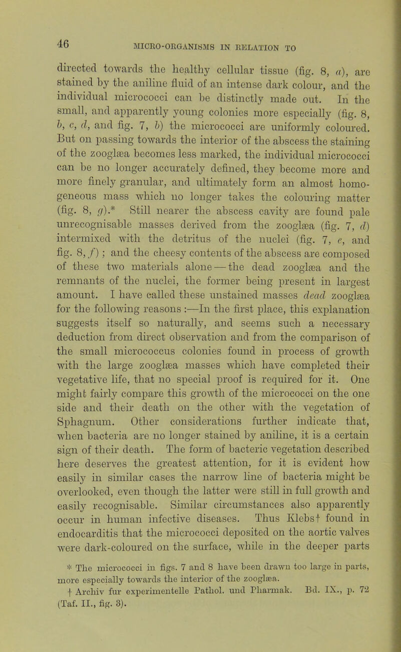 directed towards the healthy cellular tissue (fig. 8, a), are stained by the aniline fluid of an intense dark colour, and the individual micrococci can he distinctly made out. In the small, and apparently young colonies more especially (fig. 8, h, c, d, and fig. 7, h) the micrococci are uniformly coloured. But on passing towards the interior of the abscess the staining of the zooglaea becomes less marked, the individual micrococci can be no longer accurately defined, they become more and more finely granular, and ultimately form an almost homo- geneous mass which no longer takes the colouring matter (fig. 8, r/).* Still nearer the abscess cavity are found pale unrecognisable masses derived from the zooglaea (fig. 7, d) intermixed with the detritus of the nuclei (fig. 7, e, and fig. 8, /); and the cheesy contents of the abscess are composed of these two materials alone — the dead zoogliea and the remnants of the nuclei, the former being present in largest amount. I have called these unstained masses dead zoogliea for the following reasons :—In the first place, this explanation suggests itself so naturally, and seems such a necessary deduction from direct observation and from the comparison of the small micrococcus colonies found in process of growth with the large zooglsea masses which have completed their vegetative life, that no special proof is required for it. One might fairly compare this growth of the micrococci on the one side and their death on the other with the vegetation of Sphagnum. Other considerations further indicate that, when bacteria are no longer stained by aniline, it is a certain sign of their death. The form of bacteric vegetation described here deserves the greatest attention, for it is evident how easily in similar cases the narrow line of bacteria might be overlooked, even though the latter Avere still in full grovdh and easily recognisable. Similar circumstances also apparently occur in human infective diseases. Thus Klebst found in endocarditis that the micrococci deposited on the aortic valves were dark-coloured on the surface, while in the deeper parts * The micrococci iu figs. 7 and 8 haA^e been drawn too large in parts, more especially towards the interior of the zooglaea. f Archiv fur experimentelle Pathol, und Phannak. Bd. IX., p. 72 (Taf. II., fig. 3).
