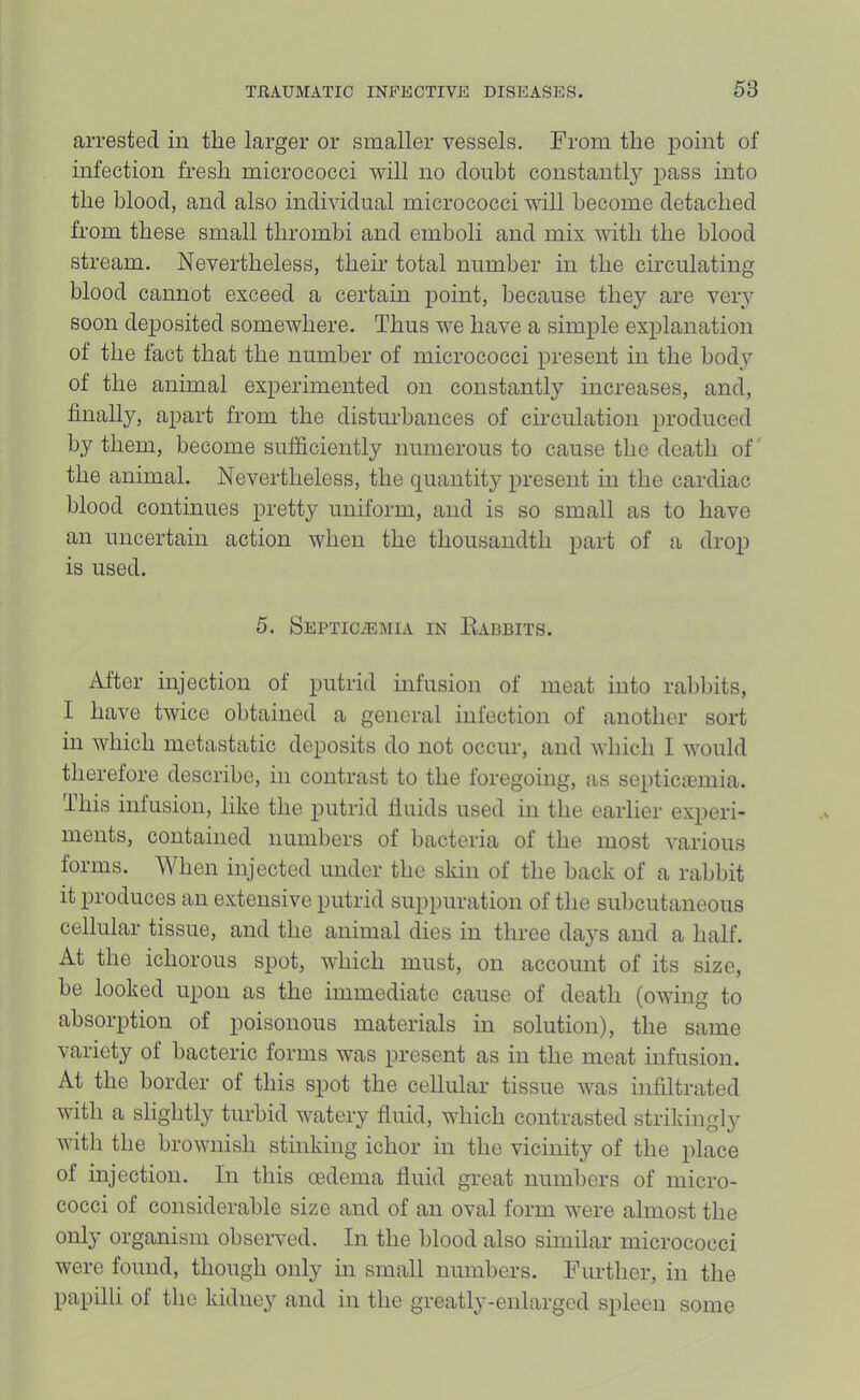 arrested in the larger or smaller vessels. From the point of infection fresh micrococci will no doubt constantly pass into the blood, and also individual micrococci will become detached from these small thrombi and emboli and mix with the blood stream. Nevertheless, their total number in the circulating blood cannot exceed a certain point, because they are very soon dej)osited somewhere. Thus we have a simple explanation of the fact that the number of micrococci present in the body of the animal experimented on constantly increases, and, finally, apart from the distm-bances of circulation produced by them, become sufficiently numerous to cause the death of' the animal. Nevertheless, the quantity present in the cardiac blood continues pretty uniform, and is so small as to have an uncertain action when the thousandth part of <a dro^i is used. 5. Septicaemia in Babbits. After injection of putrid infusion of meat into rabbits, I have twice obtained a general infection of another sort in which metastatic deposits do not occur, and which I would therefore describe, in contrast to the foregoing, as septictumia. This infusion, like the putrid fluids used in the earlier experi- ments, contained numbers of bacteria of the most various forms. When injected under the skin of the back of a rabbit it produces an extensive putrid suppuration of the subcutaneous cellular tissue, and the animal dies in three days and a half. At the ichorous spot, which must, on account of its size, be looked upon as the immediate cause of death (owing to absorption of poisonous materials in solution), the same variety of bacteric forms was present as in the meat infusion. At the border of this spot the cellular tissue was infiltrated with a slightly turbid watery fluid, which contrasted strikingl}'’ with the brownish stinking ichor in the vicinity of the place of injection. In this oedema fluid great numbers of micro- cocci of considerable size and of an oval form were almost the only organism observed. In the blood also similar micrococci were found, though only in small numbers. Further, in the papilli of the kidney and in the greatly-enlarged spleen some