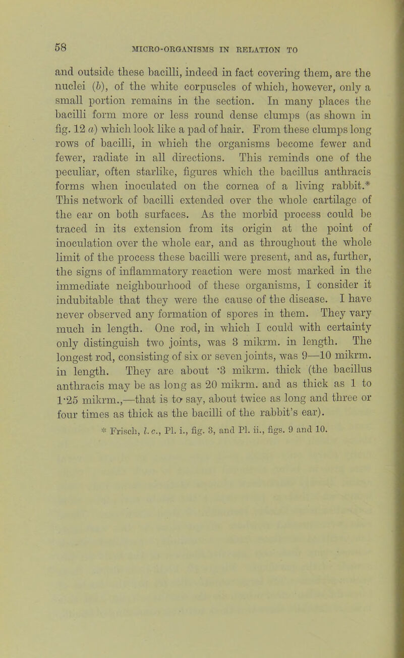 and outside these bacilli, indeed in fact covering them, are the nuclei (b), of the white corpuscles of which, however, only a small portion remains in the section. In many places the bacilli form more or less round dense clumps (as shown in fig. 12 a) which look like a pad of hair. From these clumps long rows of bacilli, in which the organisms become fewer and fewer, radiate in all directions. This reminds one of the peculiar, often starlike, figures which the bacillus anthracis forms when inoculated on the cornea of a living rabbit.* This network of bacilli extended over the whole cartilage of the ear on both surfaces. As the morbid process could be traced in its extension from its origin at the point of inoculation over the whole ear, and as throughout the whole limit of the process these bacilli were present, and as, further, the signs of inflammatory reaction were most marked in the immediate neighbomdiood of these organisms, I consider it indubitable that they were the cause of the disease. I have never observed any formation of spores in them. They vary much in length. One rod, in which I could with certainty only distinguish two joints, was 3 milani. in length. The longest rod, consistmg of six or seven joints, was 9—10 mikrm. in length. They are about '3 mikrm. thick (the bacillus anthracis may be as long as 20 mikrm. and as thick as 1 to 1-25 mikrm.,—that is ter say, about twice as long and three or four times as thick as the bacilli of the rabbit’s ear). Frisch, l.c., PL i., fig. 3, and PL ii., figs. 9 and 10.