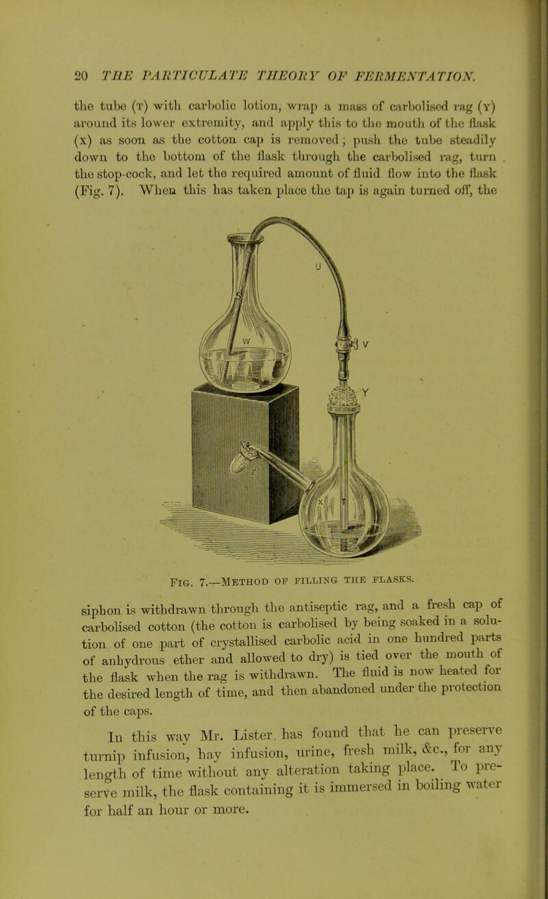 the tube (t) with carbolic lotion, wrap a inass of carbollsed rag (y) around its lower extremity, and apply this to the mouth of the flask (x) as soon as the cotton cap is removed; push the tube steadily down to the bottom of the flask through the carbolised rag, turn the stop-cock, and let tho required amount of fluid flow into the flask (Fig. 7). When this has taken place the tap is again turned off, the 7. method of filling the flasks. siphon is withdrawn through the antiseptic rag, and a fresh cap of carbolised cotton (the cotton is carbolised by being soaked in a solu- tion of one part of crystallised carbolic acid in one hundred parts of anhydrous ether and allowed to dry) is tied over the mouth of the flask when the rag is withdrawn. The fluid is now heated for the desired length of time, and then abandoned under the protection of the caps. In this way Mr. Lister, has found that he can preserve turnip infusion, hay infusion, urine, fresh milk, &c., for any length of time without any alteration taking place. . do pre- serve milk, the flask containing it is immersed in boiling water for half an hour or more.