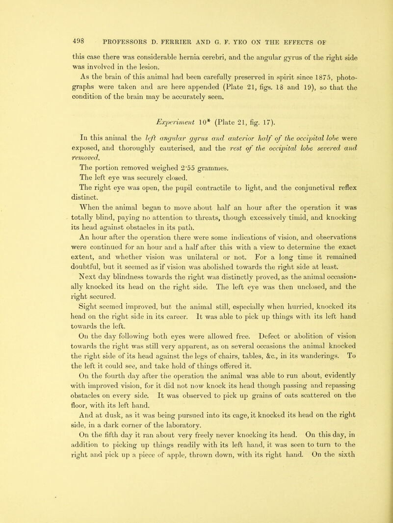 this case there was considerable hernia cerebri, and the angular gyrus of the right side was involved in the lesion. As the brain of this animal had been carefully preserved in spirit since 1875, photo- graphs were taken and are here appended (Plate 21, figs. 18 and 19), so that the condition of the brain may be accurately seen. Experiment 10* (Plate 21, fig. 17). In this animal the left angular gyrus and anterior half of the occipital lobe were exposed, and thoroughly cauterised, and the rest of the occipital lobe severed and removed. The portion removed weighed 2'55 grammes. The left eye was securely closed. The right eye was open, the pupil contractile to light, and the conjunctival reflex distinct. When the animal began to move about half an hour after the operation it was totally blind, paying no attention to threats, though excessively timid, and knocking its head against obstacles in its path. An hour after the operation there were some indications of vision, and observations were continued for an hour and a half after this with a view to determine the exact extent, and whether vision was unilateral or not. For a long time it remained doubtful, but it seemed as if vision was abolished towards the right side at least. Next day blindness towards the right was distinctly proved, as the animal occasion- ally knocked its head on the right side. The left eye was then unclosed, and the right secured. Sight seemed improved, but the animal still, especially when hurried, knocked its head on the right side in its career. It was able to pick up things with its left hand towards the left. On the day following both eyes were allowed free. Defect or abolition of vision towards the right was still very apparent, as on several occasions the animal knocked the right side of its head against the legs of chairs, tables, &c., in its wanderings. To the left it could see, and take hold of things offered it. On the fourth day after the operation the animal was able to run about, evidently with improved vision, for it did not now knock its head though passing and repassing obstacles on every side. It was observed to pick up grains of oats scattered on the floor, with its left hand. And at dusk, as it was being pursued into its cage, it knocked its head on the right side, in a dark corner of the laboratory. On the fifth day it ran about very freely never knocking its head. On this day, in addition to picking up things readily with its left hand, it was seen to turn to the right and pick up a piece of apple, thrown down, with its right hand. On the sixth