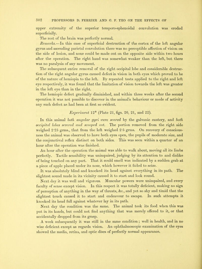 upper extremity of the superior temporo-sphenoidal convolution was eroded superficially. The rest of the brain was perfectly normal. Remarks.—In this case of superficial destruction of the cortex of the left angular gyrus and ascending parietal convolution there w7as no perceptible affection of vision on the side of lesion, and none could be made out on the opposite side within two hours after the operation. The right hand was somewhat weaker than the left, but there was no paralysis of any movement. The subsequent entire removal of the right occipital lobe and considerable destruc- tion of the right angular gyrus caused defect in vision in both eyes which proved to be of the nature of hemiopia to the left. By repeated tests applied to the right and left eye respectively, it was found that the limitation of vision towards the left was greater in the left eye than in the right. The hemiopic defect gradually diminished, and within three weeks after the second operation it was not possible to discover in the animal’s behaviour or mode of activity any such defect as had been at first so evident. Experiment 12* (Plate 21, figs. 20, 21, and 22). In this animal both angular gijri ivere seared by the galvanic cautery, and both occipital lobes severed and scooped out. The portion removed from the right side weighed 2'25 grms., that from the left weighed 2'5 grms. On recovery of conscious- ness the animal was observed to have both eyes open, the pupils of moderate size, and the conjunctival reflex distinct on both sides. This was seen within a quarter of an hour after the operation was finished. An hour after the operation the animal was able to walk about, moving all its limbs perfectly. Tactile sensibility was unimpaired, judging by its attention to and dislike of being touched on any part. That it could smell was indicated by a sudden grab at a piece of apple placed under its nose, which however it failed to seize. It was absolutely blind and knocked its head against everything in its path. The slightest sound made in its vicinity caused it to start and look round. Next day it was well and vigorous. Muscular powers were unimpaired, and every faculty of sense except vision. In this respect it was totally deficient, making no sign of perception of anything in the way of threats, &c., and yet so shy and timid that the slightest touch caused it to start and endeavour to escape. In such attempts it knocked its head full against whatever lay in its path. Next day the condition was the same. The animal took its food when this was put in its hands, but could not find anything that was merely offered to it, or that accidentally dropped from its grasp. A week subsequently it was still in the same condition ; well in health, and in no wise deficient except as regards vision. An ophthalmoscopic examination of the eyes showed the media, retina, and optic discs of perfectly normal appearance.