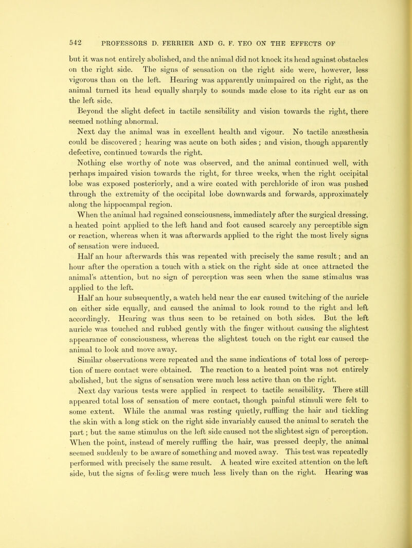 but it was not entirely abolished, and the animal did not knock its head against obstacles on the right side. The signs of sensation on the right side w*ere, however, less vigorous than on the left. Hearing was apparently unimpaired on the right, as the animal turned its head equally sharply to sounds made close to its right ear as on the left side. Beyond the slight defect in tactile sensibility and vision towards the right, there seemed nothing abnormal. Next day the animal was in excellent health and vigour. No tactile anaesthesia could be discovered; hearing was acute on both sides ; and vision, though apparently defective, continued towards the right. Nothing else worthy of note was observed, and the animal continued well, with perhaps impaired vision towards the right, for three weeks, when the right occipital lobe was exposed posteriorly, and a wire coated with perchloride of iron was pushed through the extremity of the occipital lobe downwards and forwards, approximately along the hippocampal region. When the animal had regained consciousness, immediately after the surgical dressing, a heated point applied to the left hand and foot caused scarcely any perceptible sign or reaction, whereas when it was afterwards applied to the right the most lively signs of sensation were induced. Half an hour afterwards this was repeated with precisely the same result; and an hour after the operation a touch with a stick on the right side at once attracted the animal’s attention, but no sign of perception was seen when the same stimulus was applied to the left. Half an hour subsequently, a watch held near the ear caused twitching of the auricle on either side equally, and caused the animal to look round to the right and left accordingly. Hearing was thus seen to be retained on both sides. But the left auricle was touched and rubbed gently with the finger without causing the slightest appearance of consciousness, whereas the slightest touch on the right ear caused the animal to look and move away. Similar observations were repeated and the same indications of total loss of percep- tion of mere contact were obtained. The reaction to a heated point was not entirely abolished, but the signs of sensation were much less active than on the right. Next day various tests were applied in respect to tactile sensibility. There still appeared total loss of sensation of mere contact, though painful stimuli were felt to some extent. While the animal was resting quietly, ruffling the hair and tickling the skin with a long stick on the right side invariably caused the animal to scratch the part; but the same stimulus on the left side caused not the slightest sign of perception. When the point, instead of merely ruffling the hair, was pressed deeply, the animal seemed suddenly to be aware of something and moved away. This test was repeatedly performed with precisely the same result. A heated wire excited attention on the left side, but the signs of feeling were much less lively than on the right. Hearing was