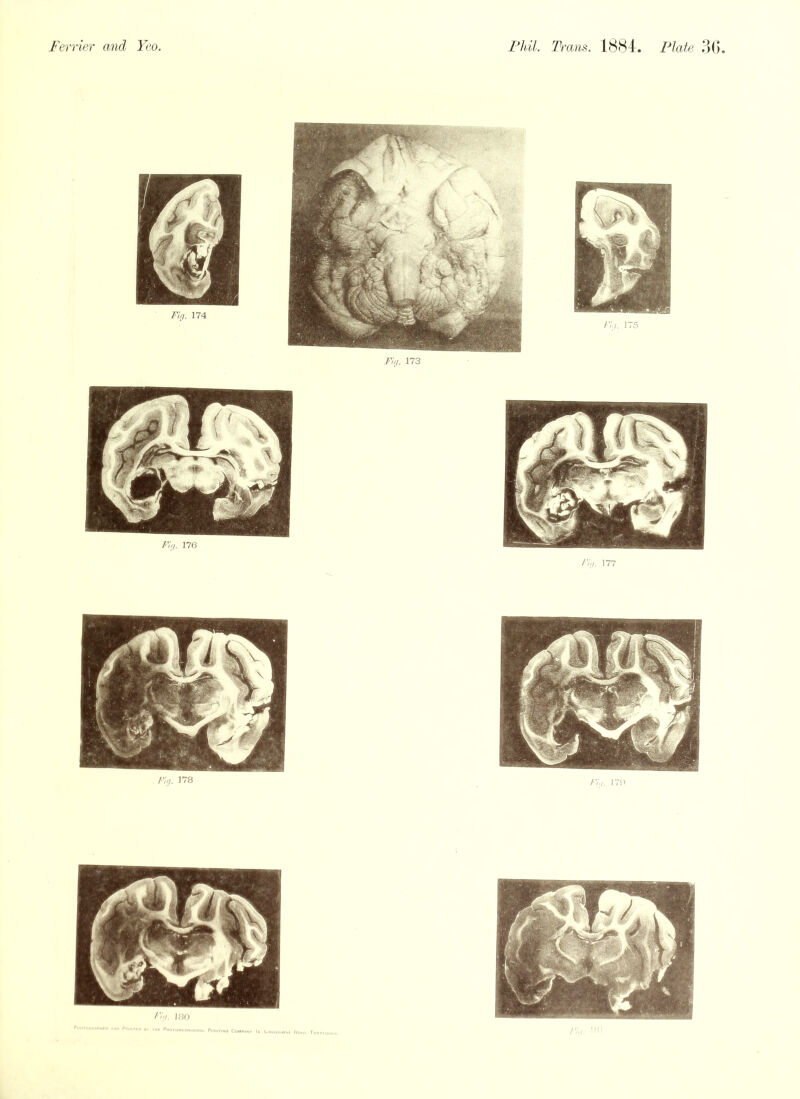 Fig. 173 Fit/. 176 /•'/>. 177