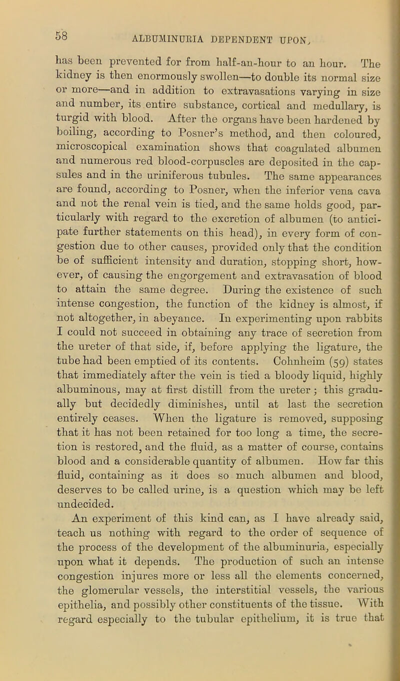 has been prevented for from half-an-hour to an hour. The kidney is then enormously swollen—to double its normal size or more—and in addition to extravasations varying in size and number, its entire substance, cortical and medullary, is tui’gid with blood. After the organs have been hardened by boiling, according to Posner’s method, and then coloured, microscopical examination shows that coagulated albumen and numerous red blood-corpuscles are deposited in the cap- sules and in the uriniferous tubules. The same appearances are found, according to Posner, when the inferior vena cava and not the renal vein is tied, and the same holds good, par- ticularly with regard to the excretion of albumen (to antici- pate further statements on this head), in every form of con- gestion due to other causes, provided only that the condition be of sufficient intensity and duration, stopping short, how- ever, of causing the engorgement and extravasation of blood to attain the same degree. During the existence of such intense congestion, the function of the kidney is almost, if not altogether, in abeyance. In experimenting upon rabbits I could not succeed in obtaining any trace of secretion from the ureter of that side, if, before applying the ligature, the tube had been emptied of its contents. Cohnheim (59) states that immediately after the vein is tied a bloody liquid, highly albuminous, may at first distill from the ureter 3 this gradu- ally but decidedly diminishes, until at last the secretion entirely ceases. When the ligature is removed, supposing that it has not been retained for too long a time, the secre- tion is restored, and the fluid, as a matter of course, contains blood and a considerable quantity of albumen. How far this fluid, containing as it does so much albumen and blood, deserves to be called urine, is a question which may be left undecided. An experiment of this kind can, as I have already said, teach us nothing with regard to the order of sequence of the process of the development of the albuminuria, especially upon what it depends. The production of such an intense congestion injures more or less all the elements concerned, the glomerular vessels, the interstitial vessels, the various epithelia, and possibly other constituents of the tissue. With regard especially to the tubular epithelium, it is true that