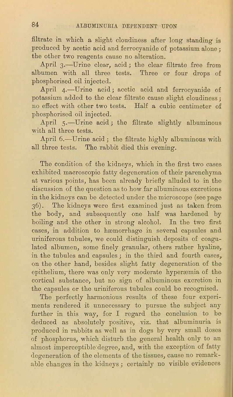 filtrate in which a slight cloudiness after long standing is produced by acetic acid and ferrocyanide of potassium alone ; the other two reagents cause no alteration. April 3.—Urine clear, acid; the clear filtrate free from albumen with all three tests. Three or four drops of phosphorised oil injected. April 4.—Urine acid; acetic acid and ferrocyanide of potassium added to the clear filtrate cause slight cloudiness; no effect with other two tests. Half a cubic centimeter of phosphorised oil injected. April 5.—Urine acid j the filtrate slightly albuminous with all three tests. April 6.—Urine acid; the filtrate highly albuminous with all three tests. The rabbit died this evening. The condition of the kidneys, which in the first two cases exhibited macroscopic fatty degeneration of their parenchyma at various points, has been already briefly alluded to in the discussion of the question as to how far albuminous excretions in the kidneys can be detected under the microscope (see page 36). The kidneys were first examined just as taken from the body, and subsequently one half was hardened by boiling and the other in strong alcohol. In the two first cases, in addition to haemorrhage in several capsules and uriniferous tubules, we could distinguish deposits of coagu- lated albumen, some finely granular, others rather hyabne, in the tubules and capsules j in the third and fourth cases,, on the other hand, besides slight fatty degeneration of the epithelium, there was only very moderate hyperaemia of the- cortical substance, but no sign of albuminous excretion in the capsules or the uriniferous tubules could be recognised. The perfectly harmonious results of these four experi- ments rendered it unnecessary to pursue the subject any further in this way, for I regard the conclusion to be- deduced as absolutely positive, viz. that albuminuria is produced in rabbits as well as in dogs by very small doses of phosphorus, which disturb the general health only to an almost imperceptible degree, and, with the exception of fatty degeneration of the elements of the tissues, cause no remark- able chauges in the kidneys ; certainly no visible evidences