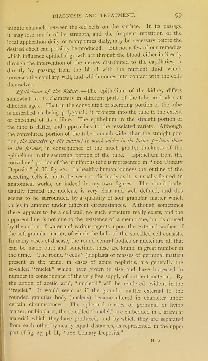 <r minute channels between the old cells on the surface. In its passage it may lose much of its strength, and the frequent repetition of the local application daily, or many times daily, may be necessary before the desired effect can possibly be produced. But not a few of our remedies which influence epithelial growth act through the blood, either indirectly through the intervention of the nerves distributed to the capillaries, or directly by passing from the blood with the nutrient fluid which traverses the capillary wall, and which comes into contact with the cells themselves. Epithelium of the Kidney—The epithelium of the kidney differs somewhat in its characters in different parts of the tube, and also at different ages. That in the convoluted or secreting portion of the tube is described as being polygonal; it projects into the tube to the extent of one-third of its calibre. The epithelium in the straight portion of the tube is flatter, and approaches to the tesselated variety. Although the convoluted portion of the tube is much wider than the straight por- tion, the diameter of the channel is much wider in the latter position than in the former, in consequence of the much greater thickness of the epithelium in the secreting portion of the tube. Epithelium from the convoluted portion of the uriniferous tube is represented in “ ioo Urinary Deposits,” pi. II, fig. 27. In healthy human kidneys the outline of the secreting cells is not to be seen so distinctly as it is usually figured in anatomical works, or indeed in my own figures. The round body, usually termed the nucleus, is very clear and well defined, and this seems to be surrounded by a quantity of soft granular matter which varies in amount under different circumstances. Although sometimes there appears to be a cell wall, no such structure really exists, and the apparent line is not due to the existence of a membrane, but is caused by the action of water and various agents upon the external surface of the soft granular matter, of which the bulk of the so-called cell consists. In many cases of disease, the round central bodies or nuclei are all that can be made out; and sometimes thesfe are found in great number in the urine. The round “ cells ” (bioplasts or masses of germinal matter) present in the urine, in cases of acute nephritis, are generally the so-called “nuclei,” which have grown in size and have increased in number in consequence of the very free supply of nutrient material. By the action of acetic acid, “ nucleoli ” will be rendered evident in the “nuclei.” It would seem as if the granular matter external to the rounded granular body (nucleus) became altered in character under certain circumstances. The spherical masses of germinal or living matter, or bioplasts, the so-called “ nuclei,” are embedded in a granular material, which they have produced, and by which they are separated from each other by nearly equal distances, as represented in the upper part of fig. 27, pi. II, “ 100 Urinary Deposits.’’ H 2