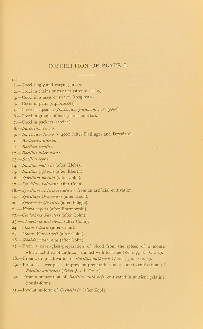 DESCRIPTION OF PLATE I. Fig. 1. —Cocci singly and varying in size. 2. —Cocci in chains or rosaries (streptococcus). 3. —Cocci in a mass or swarm (zoogloea). 4. —Cocci in pairs (diplococcus). 5. —Cocci encapsuled {Hacteriiini pneumonia: crouposee). 6. —Cocci in groups of four (merismopedia). 7. —Cocci in packets (sarcina). 8. —Bacterium termo. Q.—Bacterium termo x 4000 (after Ballinger and Drysdale). 10. —Bacterium lineola. 11. —Bacillus stibtilis. 12. —Bacillus tuberculosis. 13. —Bacillus Icpne. Bacillus malaria: (after Klebs). 15. —Bacillus typhosus (after Eberth). 16. —Spirillum undula (after Cohn). 17. —Spirillum volulans (after Cohn). 18. —Spirillmn cholera Asiatica : from an artificial cultivation. 19. —Spirillum Oberfneieri (after Koch). 20. —Spirochate plicatilis (after Fliigge). 21. — Vibrio rugula (after Prazmowski). 22. —Cladothrix Farsteri (after Cohn). 23. —Cladothrix dichotoma (after Cohn). 24. —Monas Okenii (after Cohn). 25. —Monas Warmingii (after Cohn). 26. —Rhabdomonas rosea (after Cohn). 27. —From a cover-glass-preparation of blood from the spleen of a mouse which had died of anthrax ; stained with fuchsine (Zeiss o-i- Oc. 4). 28. —From a drop-cultivation of Bacillus anthracis (Zeiss yV o-'- Oc- 4)- 29. — From a cover-glass impression-preparation of a potato-cultivation of Bacillus anthracis (Zeiss y\ o. i. Oc. 4). 30. —From a preparation of Bacillus anthracis, cultivated in nutrient gelatine (torula-form). 31. —Involution-form of Crcnothrix (after Zopf).