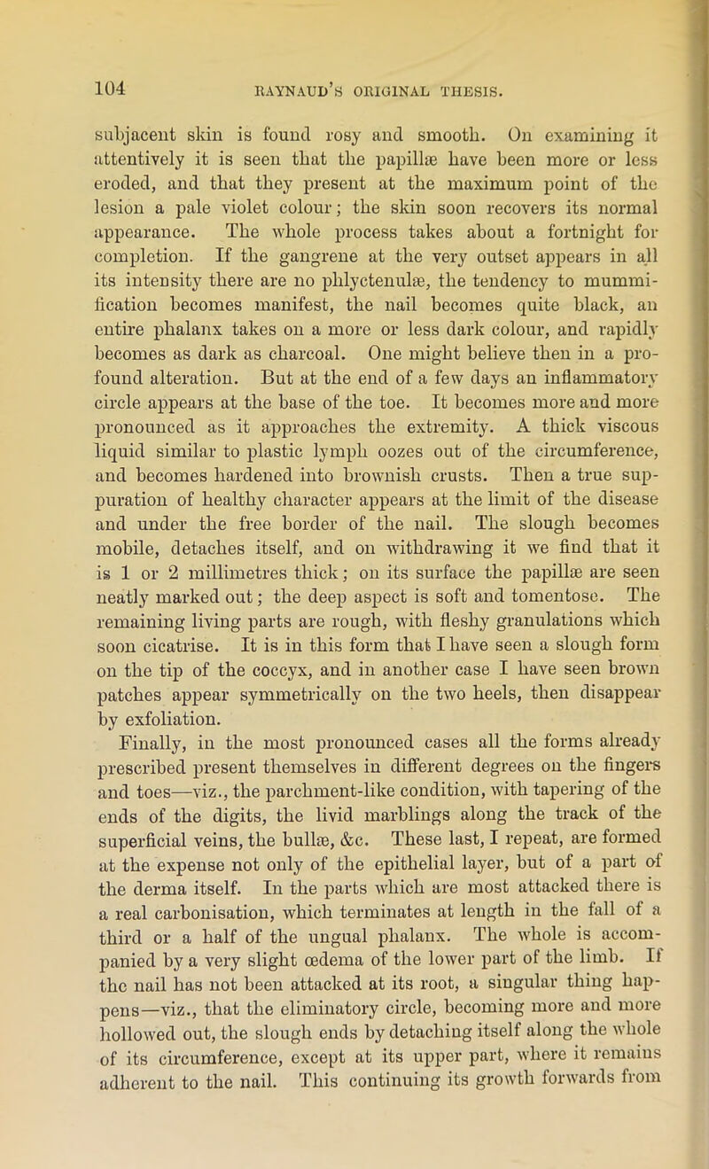 subjacent skin is found rosy and smooth. On examining it attentively it is seen that the papillae have been more or less eroded, and that they present at the maximum point of the lesion a pale violet colour; the skin soon recovers its normal appearance. The whole process takes about a fortnight for completion. If the gangrene at the very outset appears in all its intensity there are no phlyctenulae., the tendency to mummi- fication becomes manifest, the nail becomes quite black, an entire phalanx takes on a more or less dark colour, and rapidly becomes as dark as charcoal. One might believe then in a pro- found alteration. But at the end of a few days an inflammatory circle appears at the base of the toe. It becomes more and more pronounced as it approaches the extremity. A thick viscous liquid similar to plastic lymph oozes out of the circumference, and becomes hardened into brownish crusts. Then a true sup- puration of healthy character appears at the limit of the disease and under the free border of the nail. The slough becomes mobile, detaches itself, and on withdrawing it we find that it is 1 or 2 millimetres thick; on its surface the papillae are seen neatly marked out; the deep aspect is soft and tomentose. The remaining living parts are rough, with fleshy granulations which soon cicatrise. It is in this form that I have seen a slough form on the tip of the coccyx, and in another case I have seen brown patches appear symmetrically on the two heels, then disappear by exfoliation. Finally, in the most pronounced cases all the forms already prescribed present themselves in different degrees on the fingers and toes—viz., the parchment-like condition, with tapering of the ends of the digits, the livid marblings along the track of the superficial veins, the bullie, &c. These last, I repeat, are formed at the expense not only of the epithelial layer, but of a part of the derma itself. In the parts which are most attacked there is a real carbonisation, which terminates at length in the fall ot a third or a half of the ungual phalanx. The whole is accom- panied by a very slight oedema of the lower part of the limb. Ii the nail has not been attacked at its root, a singular thing hap- pens—viz., that the eliminatory circle, becoming more and more hollowed out, the slough ends by detaching itself along the whole of its circumference, except at its upper part, where it remains adherent to the nail. This continuing its growth forwards from