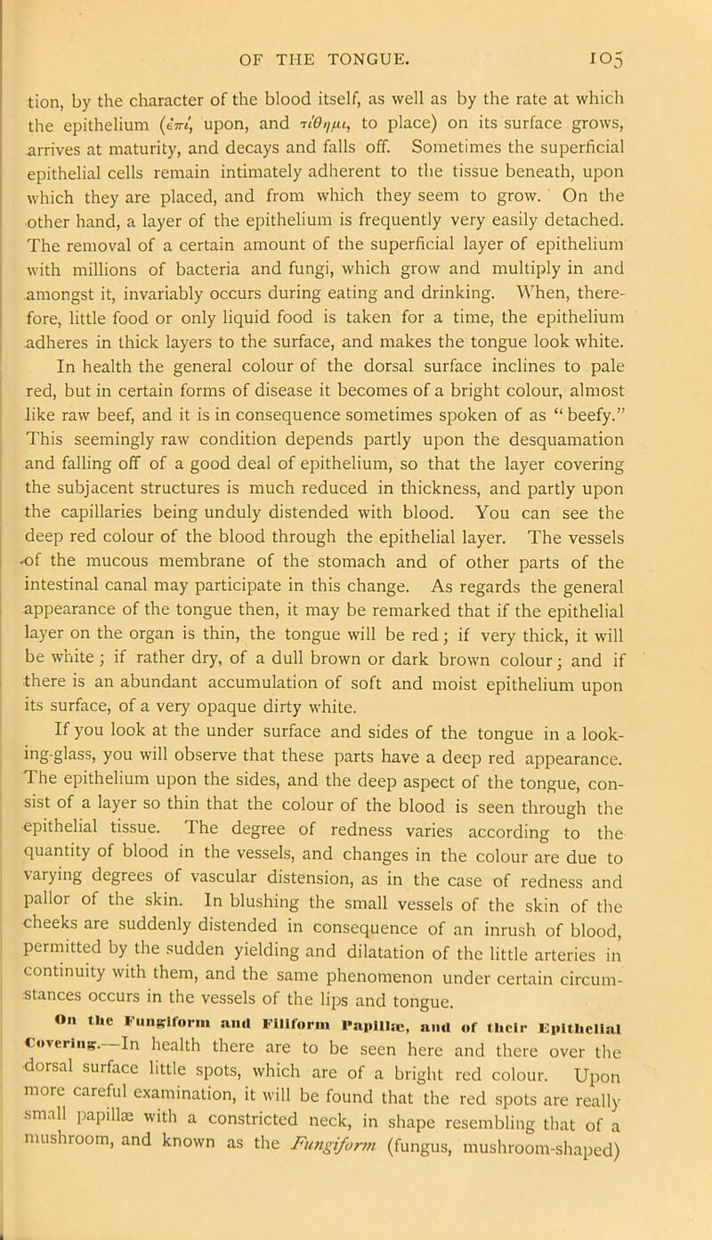 tion, by the character of the blood itself, as well as by the rate at which the epithelium {ini, upon, and -riOqfu, to place) on its surface grows, arrives at maturity, and decays and falls off. Sometimes the superficial epithelial cells remain intimately adherent to the tissue beneath, upon which they are placed, and from which they seem to grow. On the •other hand, a layer of the epithelium is frequently very easily detached. The removal of a certain amount of the superficial layer of epithelium with millions of bacteria and fungi, which grow and multiply in and amongst it, invariably occurs during eating and drinking. When, there- fore, little food or only liquid food is taken for a time, the epithelium adheres in thick layers to the surface, and makes the tongue look white. ' In health the general colour of the dorsal surface inclines to pale red, but in certain forms of disease it becomes of a bright colour, almost j like raw beef, and it is in consequence sometimes spoken of as “beefy.” This seemingly raw condition depends partly upon the desquamation and falling off of a good deal of epithelium, so that the layer covering the subjacent structures is much reduced in thickness, and partly upon the capillaries being unduly distended with blood. You can see the I deep red colour of the blood through the epithelial layer. The vessels I -of the mucous membrane of the stomach and of other parts of the [ intestinal canal may participate in this change. As regards the general I appearance of the tongue then, it may be remarked that if the epithelial layer on the organ is thin, the tongue will be red; if very thick, it will be white; if rather dry, of a dull brown or dark brown colour; and if 1 .there is an abundant accumulation of soft and moist epithelium upon its surface, of a very opaque dirty white. If you look at the under surface and sides of the tongue in a look- ing-glass, you will observe that these parts have a deep red appearance. The epithelium upon the sides, and the deep aspect of the tongue, con- sist of a layer so thin that the colour of the blood is seen through the epithelial tissue. The degree of redness varies according to the quantity of blood in the vessels, and changes in the colour are due to varying degrees of vascular distension, as in the case of redness and pallor of the skin. In blushing the small vessels of the skin of the cheeks are suddenly distended in consequence of an inrush of blood, permitted by the sudden yielding and dilatation of the little arteries in continuity with them, and the same phenomenon under certain circum- stances occurs in the vessels of the lips and tongue. On the Fiiii;:riforiii siiicl Filiform Faplila;, aiul of their Fpitliclial Covering.—In health there are to be seen here and there over the dorsal surface little spots, which are of a bright red colour. Upon more careful examination, it will be found that the red spots are really small papillae with a constricted neck, in shape resembling that of a mushroom, and known as the Fungiform (fungus, mushroom-shaped)