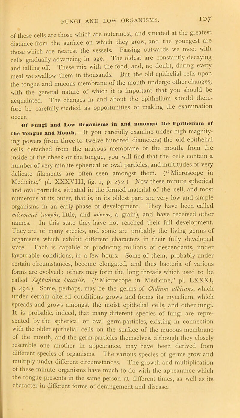 of these cells are those which are outermost, and situated at the greatest distance from the surface on which they grow, and the youngest are those which are nearest the vessels. Passing outwards we meet with cells gradually advancing in age. The oldest are constantly decaying and falling off. These mix with the food, and, no doubt, during every meal we swallow them in thousands. But the old epithelial cells upon the tongue and mucous membrane of the mouth undergo other changes, with the general nature of which it is important that you should be acquainted. The changes in and about the epithelium should there- fore be carefully studied as opportunities of making the examination occur. Of Fungi and Low Organisms in and amongst the Epitiiciiuni of the Tongue and Mouth.—If you carefully examine under high magnify- ing powers (from three to twelve hundred diameters) the old epithelial cells detached from the mucous membrane of the mouth, from the inside of the cheek or the tongue, you will find that the cells contain a number of very minute spherical or oval particles, and multitudes of very delicate filaments are often seen amongst them. (“Microscope in Medicine,” pi. XXXVIII, fig. i, p. 272.) Now these minute spherical and oval particles, situated in the formed material of the cell, and most numerous at its outer, that is, in its oldest part, are very low and simple organisms in an early phase of development. They have been called 77iicrococci little, and k6kko<!, a grain), and have received other names. In this state they have not reached their full development. They are of many species, and some are probably the living germs of organisms which exhibit different characters in their fully developed state. Each is capable of producing millions of descendants, under favourable conditions, in a few hours. Some of them, probably under certain circumstances, become elongated, and thus bacteria of various forms are evolved; others may form the long threads which used to be called Leptothrix buccalis. (“Microscope in Medicine,” pi. LXXXI, p. 492.) Some, perhaps, may be the germs of Oidiu7/i albica7is, which under certain altered conditions grows and forms its mycelium, which spreads and grows amongst the moist epithelial cells, and other fungi. It is probable, indeed, that many different species of fungi are repre- sented by the spherical or oval germ-particles, existing in connection with the older epithelial cells on the surface of the mucous membrane of the mouth, and the germ-particles themselves, although they closely resemble one another in appearance, may have been derived from different species of organisms. The various species of germs grow and multiply under different circumstances. The growth and multiplication of these minute organisms have much to do with the appearance which the tongue presents in the same person at different times, as well as its character in different forms of derangement and disease. i
