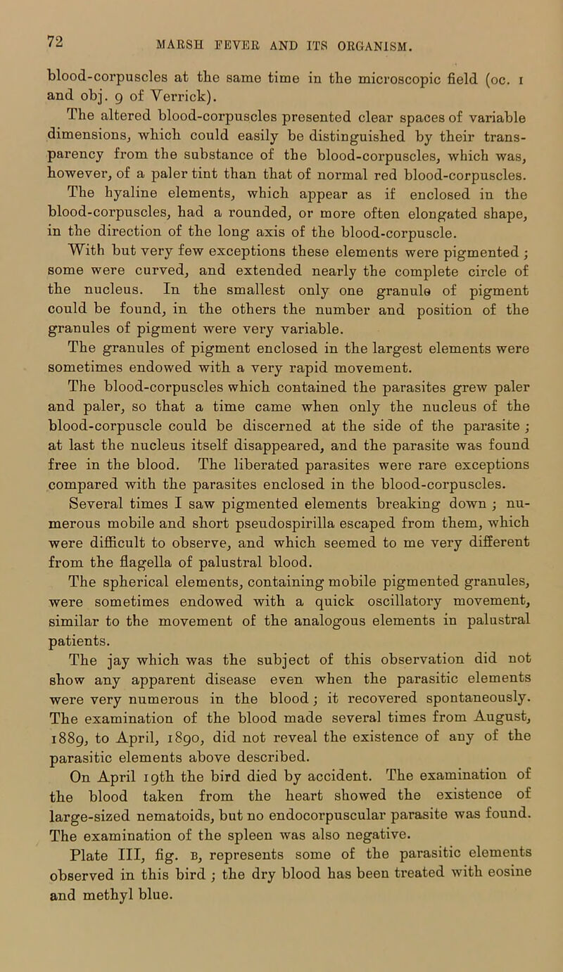 blood-corpuscles at tlie same time in the microscopic field (oc. i and obj. 9 of Verrick). The altered blood-corpuscles presented clear spaces of valuable dimensions, which could easily be distinguished by their trans- parency from the substance of the blood-corpuscles, which was, however, of a paler tint than that of normal red blood-corpuscles. The hyaline elements, which appear as if enclosed in the blood-corpuscles, had a rounded, or more often elongated shape, in the direction of the long axis of the blood-corpuscle. With but very few exceptions these elements were pigmented ; some were curved, and extended nearly the complete circle of the nucleus. In the smallest only one granule of pigment could be found, in the others the number and position of the granules of pigment were very variable. The granules of pigment enclosed in the largest elements were sometimes endowed with a very rapid movement. The blood-corpuscles which contained the parasites grew paler and paler, so that a time came when only the nucleus of the blood-corpuscle could be discerned at the side of the parasite ; at last the nucleus itself disappeared, and the parasite was found free in the blood. The liberated parasites were rare exceptions compared with the parasites enclosed in the blood-corpuscles. Several times I saw pigmented elements breaking down ; nu- merous mobile and short pseudospirilla escaped from them, which were difficult to observe, and which seemed to me very different from the flagella of palustral blood. The spherical elements, containing mobile pigmented granules, were sometimes endowed with a quick oscillatory movement, similar to the movement of the analogous elements in palustral patients. The jay which was the subject of this observation did not show any apparent disease even when the parasitic elements were very numerous in the blood; it recovered spontaneously. The examination of the blood made several times from August, 1889, to April, 1890, did not reveal the existence of any of the parasitic elements above described. On April 19th the bird died by accident. The examination of the blood taken from the heart showed the existence of large-sized nematoids, but no endocorpuscular parasite was found. The examination of the spleen was also negative. Plate III, fig. B, represents some of the parasitic elements observed in this bird ; the dry blood has been treated with eosine and methyl blue.