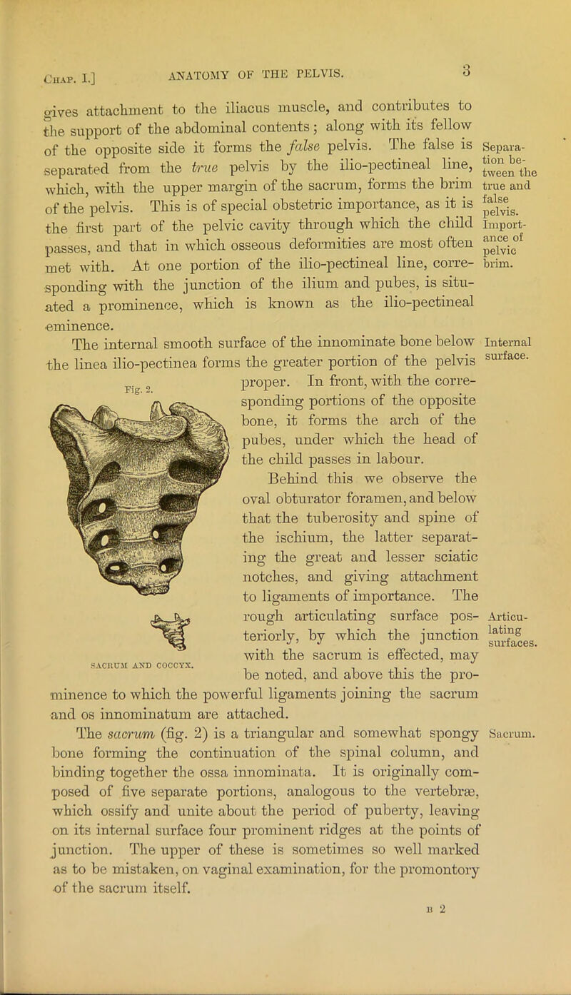 giv6S attacliniciit to tli6 iliaciis hiuscIg, and contiibutes to Sie support of the abdominal contents ; along with its fellow of the opposite side it forms the false pelvis. The false is Separa- separated from the true pelvis by the ilio-pectineal line, which, with the upper margin of the sacrum, forms the brim true and of the pelvis. This is of special obstetric importance, as it is the first part of the pelvic cavity through which the child import- passes, and that in which osseous deformities are most often met with. At one portion of the ilio-pectineal line, corre- brim, spending with the junction of tbe ilium and pubes, is situ- ated a prominence, which is known as the ilio-pectineal -eminence. The internal smooth surface of the innominate bone below internal the linea ilio-pectinea forms the greater portion of the pelvis surface. proper. In front, with the corre- sponding portions of the opposite bone, it forms the arch of the pubes, under which the head of the child passes in labour. Behind this we observe the oval obturator foramen, and below that the tuberosity and sjiine of the ischium, the latter separat- ing the great and lesser sciatic notches, and giving attachment to ligaments of importance. The rough articulating surface pos- Articu- teriorly, by which the junction with the sacrum is effected, may be noted, and above this the pro- minence to which the powerful ligaments joining the sacrum and os innominatum are attached. The sacrum (fig. 2) is a triangular and somewhat spongy Sacrum, bone forming the continuation of the spinal column, and binding together the ossa innominata. It is originally com- posed of five separate portions, analogous to the vertebrse, which ossify and unite about the period of puberty, leaving- on its internal surface four prominent ridges at the points of junction. The upper of these is sometimes so well marked as to be mistaken, on vaginal examination, for the promontory ■of the sacrum itself.