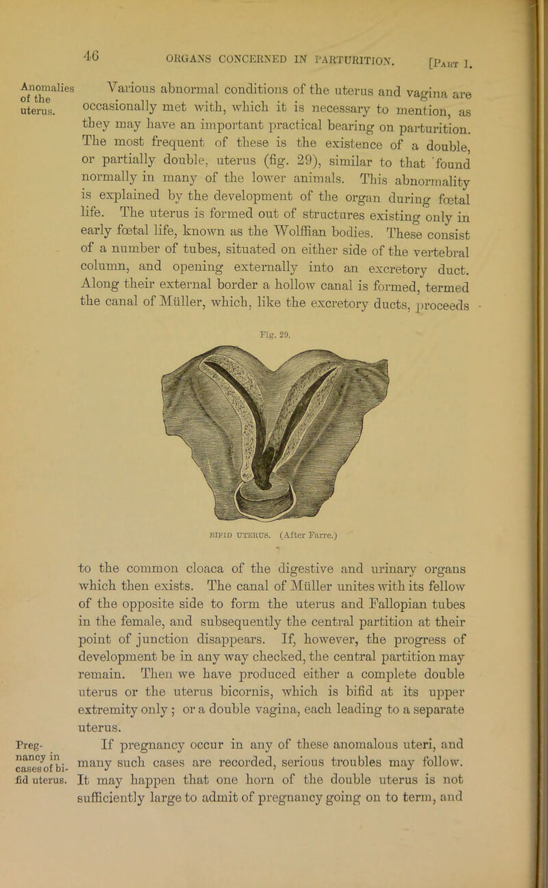 [PAIiT I. Anomalies of the uterus. Preg- nancy in cases of bi- fid uterus. Various abuormal conditions of the uterus and vagina are occasionally met with, which it is necessary to mention as they may have an important practical bearing on parturition. The most frequent of these is the existence of a double or partially double, uterus (fig. 29), similar to that ‘found normally in many of the lower animals. This abnormality is explained by the development of the organ during fcetal life. The uterus is formed out of structures existing only in early foetal life, known as the Wolffian bodies. These consist of a number of tubes, situated on either side of the vertebral column, and opening externally into an excretory duct. Along their external border a hollow canal is formed, termed the canal of Muller, which, like the excretory ducts, proceeds Fig. 29. BIFID UTERUS. (After Farre.) to the common cloaca of the digestive and urinary organs which then exists. The canal of Muller unites with its fellow of the opposite side to form the uterus and Fallopian tubes in the female, and subsequently the central partition at their point of junction disappears. If, however, the progress of development be in any way checked, the central partition may remain. Then we have produced either a complete double uterus or the uterus bicornis, which is bifid at its uiiper extremity only; or a double vagina, each leading to a separate uterus. If pregnancy occur in any of these anomalous uteri, and many such cases are recorded, serious troubles may follow. It may happen that one horn of the double uterus is not Buflficiently large to admit of pregnancy going on to term, and