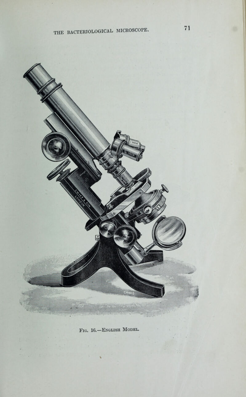 Fig. 16.—English Model.