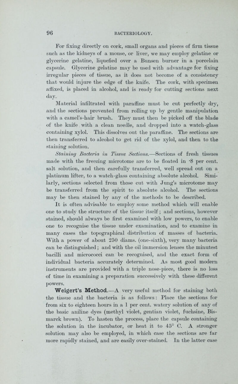 For fixing directly on cork, small organs and pieces of firm tissue such as the kidneys of a mouse, or liver, we may employ gelatine or glycerine gelatine, liquefied over a Bunsen burner in a porcelain capsule. Glycerine gelatine may be used with advantage for fixing irregular pieces of tissue, as it does not become of a consistency that would inj ure the edge of the knife. The cork, with specimen affixed, is placed in alcohol, and is ready for cutting sections next day. Material infiltrated with paraffine must be cut perfectly dry, and the sections prevented from rolling up by gentle manipulation with a camel’s-hair brush. They must then be picked off the blade of the knife with a clean needle, and dropped into a watch-glass containing xylol. This dissolves out the paraffine. The sections are then transferred to alcohol to get rid of the xylol, and then to the staining solution. Staining Bacteria in Tissue Sections.—Sections of fresh tissues made with the freezing microtome are to be floated in *8 per cent, salt solution, and then carefully transferred, well spread out on a platinum lifter, to a watch-glass containing absolute alcohol. Simi- larly, sections selected from those cut with Jung’s microtome may be transferred from the spirit to absolute alcohol. The sections may be then stained by any of the methods to be described. It is often advisable to employ some method which will enable one to study the structure of the tissue itself; and sections, however stained, should always be first examined with low powers, to enable one to recognise the tissue under examination, and to examine in many cases the topographical distribution of masses of bacteria. With a power of about 250 diams. (one-sixth), very many bacteria can be distinguished; and with the oil immersion lenses the minutest bacilli and micrococci can be recognised, and the exact form of individual bacteria accurately determined. As most good modern instruments are provided with a triple nose-piece, there is no loss of time in examining a preparation successively with these different powers. Weigert’s Method.—A very useful method for staining both the tissue and the bacteria is as follows: Place the sections for from six to eighteen hours in a 1 per cent, watery solution of any of the basic aniline dyes (methyl violet, gentian violet, fuchsine, Bis- marck brown). To hasten the process, place the capsule containing the solution in the incubator, or heat it to 45° C. A stronger solution may also be employed, in which case the sections are far more rapidly stained, and are easily over-stained. In the latter case