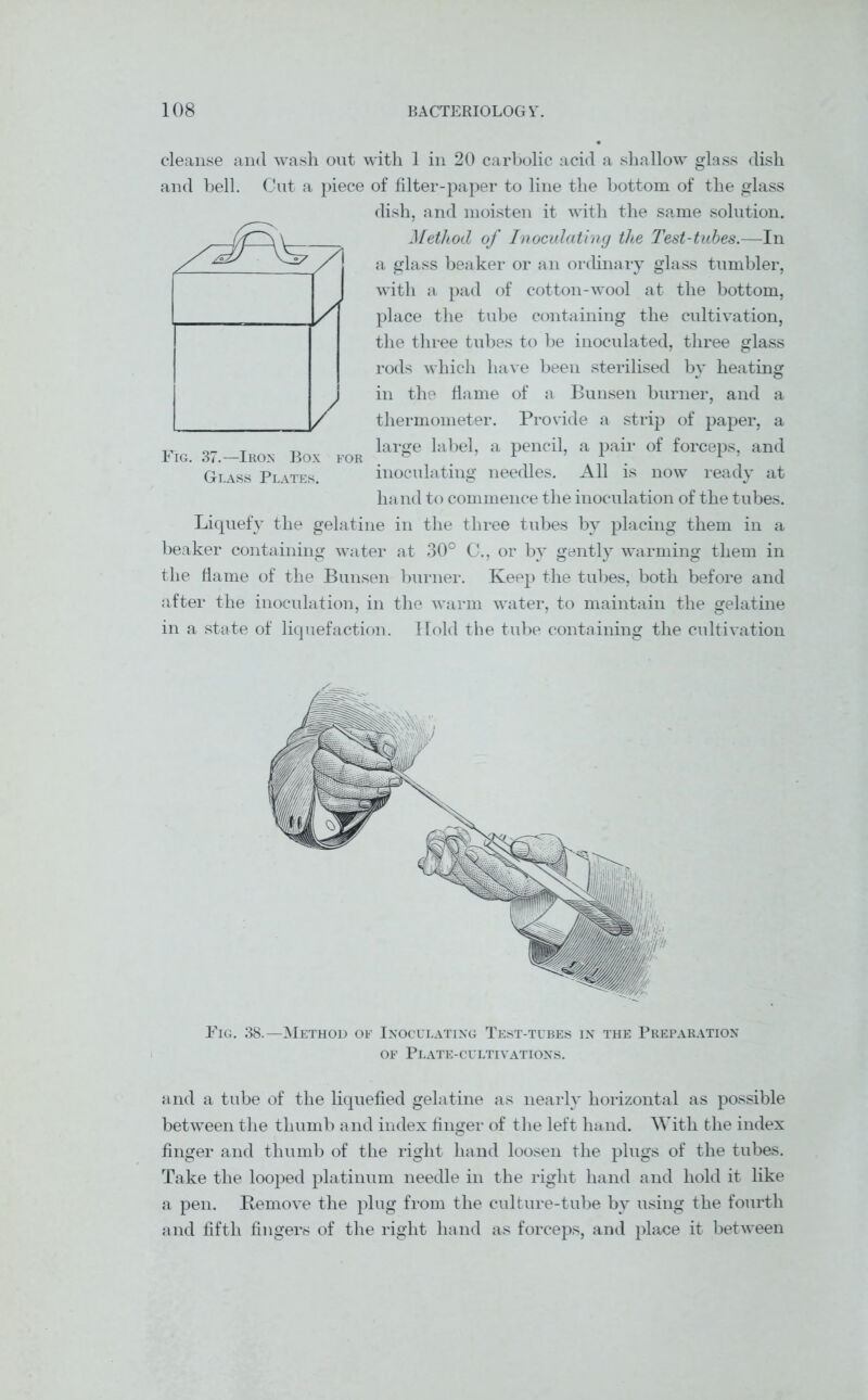cleanse and wash out with 1 in 20 carbolic acid a shallow glass dish and bell. Cut a piece of filter-paper to line the bottom of the glass dish, and moisten it with the same solution. Method of Inoculating the Test-tubes.—In a glass beaker or an ordinary glass tumbler, with a pad of cotton-wool at the bottom, place the tube containing the cultivation, the three tubes to be inoculated, three glass rods which have been sterilised by heating in the flame of a Bunsen burner, and a thermometer. Provide a strip of paper, a __ T large label, a pencil, a pair of forceps, and Glass Plates. inoculating needles. All is now ready at hand to commence the inoculation of the tubes. Liquefy the gelatine in the three tubes by placing them in a beaker containing water at 30° C., or by gently warming them in the flame of the Bunsen burner. Keep the tubes, both before and after the inoculation, in the warm water, to maintain the gelatine in a state of liquefaction. Hold the tube containing the cultivation Fig. 38.—Method of Inoculating Test-tubes in the Preparation of Plate-cultivations. and a tube of the liquefied gelatine as nearly horizontal as possible between the thumb and index finger of the left hand. With the index finger and thumb of the right hand loosen the plugs of the tubes. Take the looped platinum needle in the right hand and hold it like a pen. Remove the plug from the culture-tube by using the fourth and fifth fingers of the right hand as forceps, and place it between