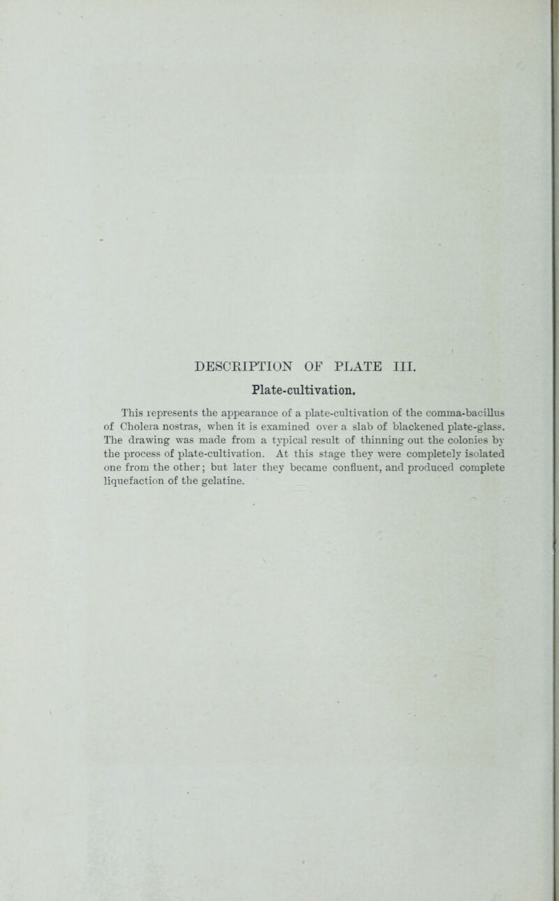 DESCRIPTION OF PLATE III. Plate - cultivati on. This represents the appearance of a plate-cultivation of the comma-bacillus of Cholera nostras, when it is examined over a slab of blackened plate-glass. The drawing was made from a typical result of thinning out the colonies by the process of plate-cultivation. At this stage they were completely isolated one from the other; but later they became confluent, and produced complete liquefaction of the gelatine.