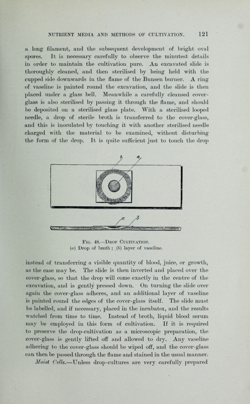 a long filament, and the subsequent development of bright oval spores. It is necessary carefully to observe the minutest details in order to maintain the cultivation pure. An excavated slide is thoroughly cleaned, and then sterilised by being held with the cupped side downwards in the flame of the Bunsen burner. A ring of vaseline is painted round the excavation, and the slide is then placed under a glass bell. Meanwhile a carefully cleansed cover- glass is also sterilised by passing it through the flame, and should be deposited on a sterilised glass plate. With a sterilised looped needle, a drop of sterile broth is transferred to the cover-glass, and this is inoculated by touching it with another sterilised needle charged with the material to be examined, without disturbing the form of the drop. It is quite sufficient just to touch the drop Tig. 48.—Drop Cultivation. (a) Drop of broth; (6) layer of vaseline. instead of transferring a visible quantity of blood, juice, or growth, as the case may be. The slide is then inverted and placed over the cover-glass, so that the drop will come exactly in the centre of the excavation, and is gently pressed down. On turning the slide over again the cover-glass adheres, and an additional layer of vaseline is painted round the edges of the cover-glass itself. The slide must be labelled, and if necessary, placed in the incubator, and the results watched from time to time. Instead of broth, liquid blood serum may be employed in this form of cultivation. If it is required to preserve the drop-cultivation as a microscopic preparation, the cover-glass is gently lifted off and allowed to dry. Any vaseline adhering to the cover-glass should be wiped off, and the cover-glass can then be passed through the flame and stained in the usual manner. Moist Cells.—Unless drop-cultures are very carefully prepared