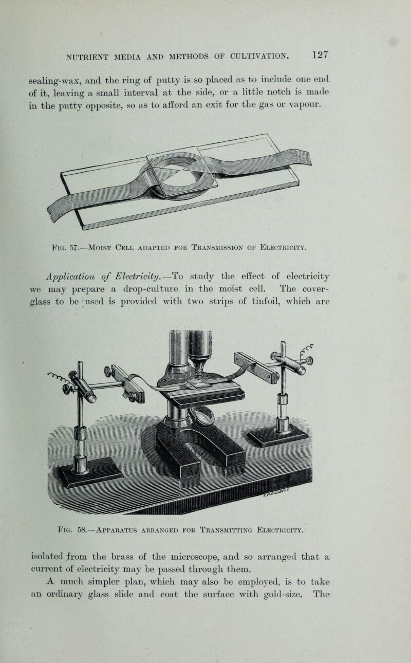 sealing-wax, and the ring of putty is so placed as to include one end of it, leaving a small interval at the side, or a little notch is made in the putty opposite, so as to afford an exit for the gas or vapour. Fig. 57.—Moist Cell adapted for Transmission oe Electricity. Application of Electricity.—To study the effect of electricity we may prepare a drop-culture in the moist cell. The cover- glass to be used is provided with two strips of tinfoil, which are Fig. 58.—Apparatus arranged for Transmitting Electricity. isolated from the brass of the microscope, and so arranged that a current of electricity may he passed through them. A much simpler plan, which may also be employed, is to take an ordinary glass slide and coat the surface with gold-size. The