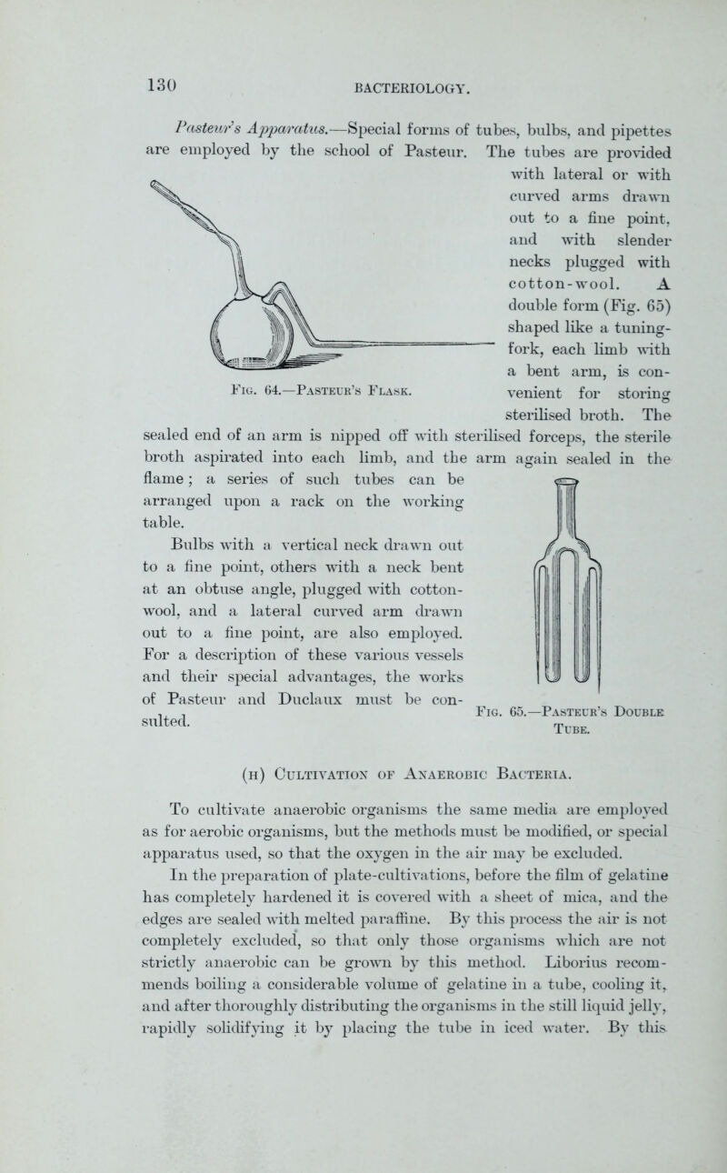 Fig. 64.—Pasteur’s Flask. Pasteur’s Apparatus.—Special forms of tubes, bulbs, and pipettes are employed by the school of Pasteur. The tubes are provided with lateral or with curved arms drawn out to a fine point, and with slender necks plugged with cotton-wool. A double form (Fig. 65) shaped like a tuning-  fork, each limb with a bent arm, is con- venient for storing sterilised broth. The sealed end of an arm is nipped off with sterilised forceps, the sterile broth aspirated into each limb, and the arm again sealed in the flame; a series of such tubes can be arranged upon a rack on the working table. Bulbs with a vertical neck drawn out to a fine point, others with a neck bent at an obtuse angle, plugged with cotton- wool, and a lateral curved arm drawn out to a fine point, are also employed. For a description of these various vessels and their special advantages, the works of Pasteur and Duclaux must be con- ,, . Fig. 65.—Pasteur’s Double suited. Tube. (h) Cultivation of Anaerobic Bacteria. To cultivate anaerobic organisms the same media are employed as for aerobic organisms, but the methods must be modified, or special apparatus used, so that the oxygen in the air may be excluded. In the preparation of plate-cultivations, before the film of gelatine has completely hardened it is covered with a sheet of mica, and the edges are sealed with melted paraffine. By this process the air is not completely excluded, so that only those organisms which are not strictly anaerobic can be grown by this method. Liborius recom- mends boiling a considerable volume of gelatine in a tube, cooling it, and after thoroughly distributing the organisms in the still liquid jelly, rapidly solidifying it by placing the tube in iced water. By this