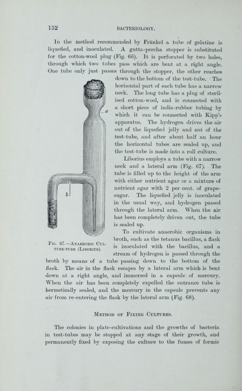 In the method recommended by Frankel a tube of gelatine is liquefied, and inoculated. A gutta-percha stopper is substituted for the cotton-wool plug (Fig. 66). It is perforated by two holes, through which two tubes pass which are bent at a right angle. One tube only just passes through the stopper, the other reaches down to the bottom of the test-tube. The horizontal part of each tube has a narrow neck. The long tube has a plug of steril- ised cotton-wool, and is connected with a short piece of india-rubber tubing by which it can be connected with Kipp’s apparatus. The hydrogen drives the air out of the liquefied jelly and out of the test-tube, and after about half an hour the horizontal tubes are sealed up, and the test-tube is made into a roll culture. Liborius employs a tube with a narrow neck and a lateral arm (Fig. 67). The tube is filled up to the height of the arm with either nutrient agar or a mixture of nutrient agar with 2 per cent, of grape- sugar. The liquefied jelly is inoculated in the usual way, and hydrogen passed through the lateral arm. When the air has been completely driven out, the tube is sealed up. To cultivate anaerobic organisms in broth, such as the tetanus bacillus, a flask is inoculated with the bacillus, and a stream of hydrogen is passed through the broth by means of a tube passing down to the bottom of the flask. The air in the flask escapes by a lateral arm which is bent down at a right angle, and immersed in a capsule of mercury. When the air has been completely expelled the entrance tube is hermetically sealed, and the mercury in the capsule prevents any air from re-entering the flask by the lateral arm (Fig. 68). Method of Fixing Cultures. The colonies in plate-cultivations and the growths of bacteria in test-tubes may be stopped at any stage of their growth, and permanently fixed by exposing the culture to the fumes of formic Fig. 67.—Anaerobic Cul- ture-tube (Liborius).