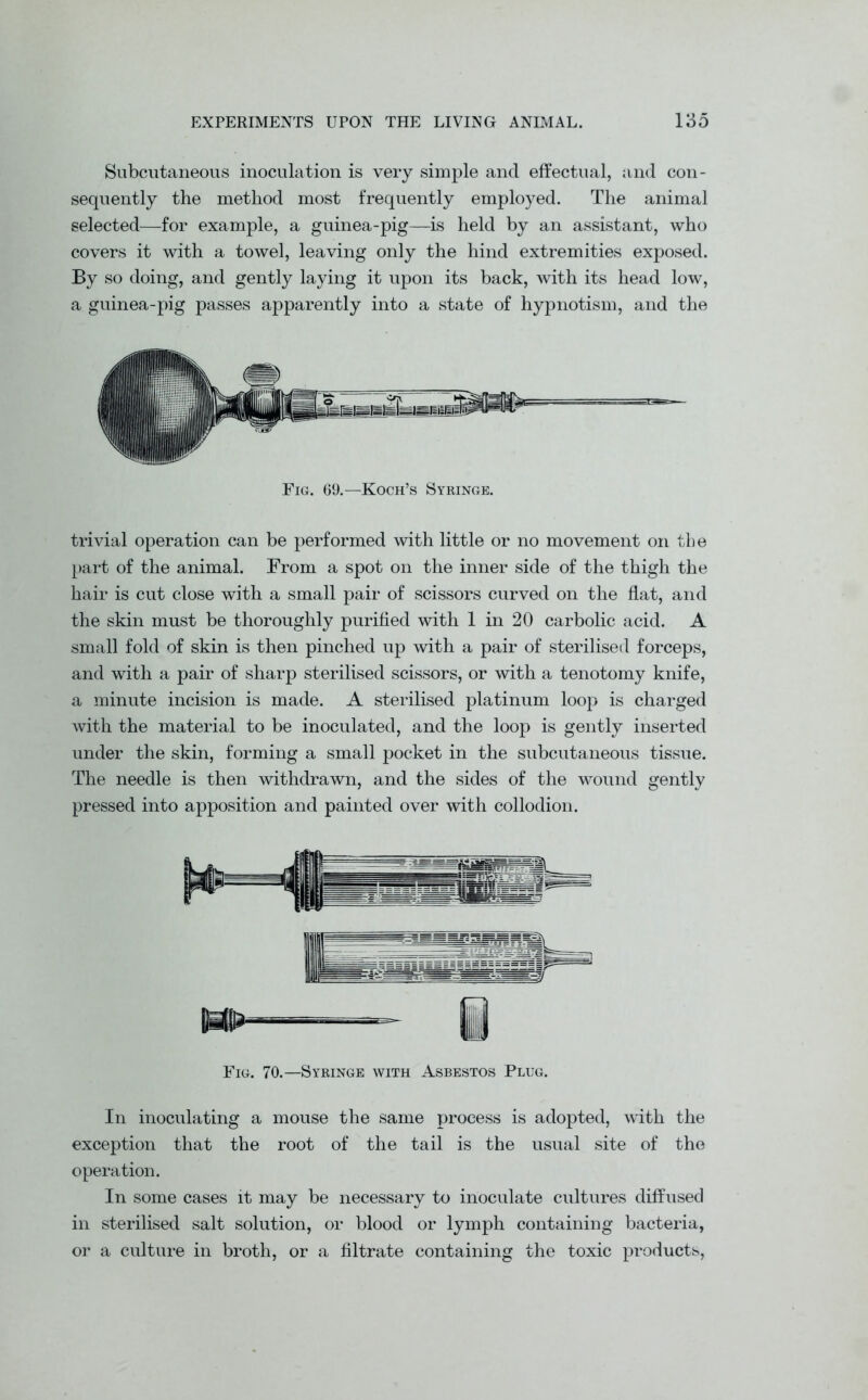 Subcutaneous inoculation is very simple and effectual, and con- sequently the method most frequently employed. The animal selected—for example, a guinea-pig—is held by an assistant, who covers it with a towel, leaving only the hind extremities exposed. By so doing, and gently laying it upon its back, with its head low, a guinea-pig passes apparently into a state of hypnotism, and the Fig. 69.—Koch’s Syringe. trivial operation can be performed with little or no movement on the part of the animal. From a spot on the inner side of the thigh the hair is cut close with a small pair of scissors curved on the flat, and the skin must be thoroughly purified with 1 in 20 carbolic acid. A small fold of skin is then pinched up with a pair of sterilised forceps, and with a pair of sharp sterilised scissors, or with a tenotomy knife, a minute incision is made. A sterilised platinum loop is charged with the material to be inoculated, and the loop is gently inserted under the skin, forming a small pocket in the subcutaneous tissue. The needle is then withdrawn, and the sides of the wound gently pressed into apposition and painted over with collodion. Fig. 70.—Syringe with Asbestos Plug. In inoculating a mouse the same process is adopted, with the exception that the root of the tail is the usual site of the operation. In some cases it may be necessary to inoculate cultures diffused in sterilised salt solution, or blood or lymph containing bacteria, or a culture in broth, or a filtrate containing the toxic products,