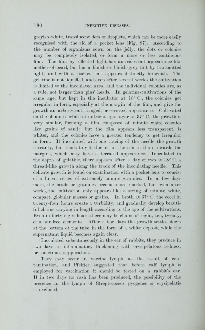 greyish-white, translucent dots or droplets, which can be more easily recognised with the aid of a pocket lens (Fig. 87). According to the number of organisms sown on the jelly, the dots or colonies may be completely isolated, or form a more or less continuous film. The film by reflected light has an iridescent appearance like mother-of-pearl, but has a bluish or bluish-grey tint by transmitted light, and with a pocket lens appears distinctly brownish. The gelatine is not liquefied, and even after several weeks the cultivation is limited to the inoculated area, and the individual colonies are, as a rule, not larger than pins’ heads. In gelatine-cultivations of the same age, but kept in the incubator at 18° C., the colonies get irregular in form, especially at the margin of the film, and give the growth an arborescent, fringed, or serrated appearance. Cultivated on the oblique surface of nutrient agar-agar at 37° C. the growth is very similar, forming a film composed of minute white colonies like grains of sand; but the film appears less transparent, is whiter, and the colonies have a greater tendency to get irregular in form. If inoculated with one tracing of the needle the growth is scanty, but tends to get thicker in the centre than towards the margins, which may have a terraced appearance. Inoculated in the depth of gelatine, there appears after a day or two at 18° C. a thread-hke growth along the track of the inoculating needle. This delicate growth is found on examination with a pocket lens to consist of a linear series of extremely minute granules. In a few days more, the beads or granules become more marked, but even after weeks, the cultivation only appears like a string of minute, white, compact, globular masses or grains. In broth at 37° C. the cocci in twenty-four hours create a turbidity, and gradually develop beauti- ful chains varying in length according to the age of the cultivations. Even in forty-eight hours there may be chains of eight, ten, twenty, or a hundred elements. After a few days the growth settles down at the bottom of the tube in the form of a white deposit, while the supernatant liquid becomes again clear. • Inoculated subcutaneously in the ear of rabbits, they produce in twTo days an inflammatory thickening with erysipelatous redness, or sometimes suppuration. They may occur in vaccine lymph, as the result of con- tamination, and Pfeiffer suggested that before calf lymph is employed for vaccination it should be tested on a rabbit’s ear. If in two days no rash has been produced, the possibility of the presence in the lymph of Streptococcus pyogenes or erysipelatis is excluded.