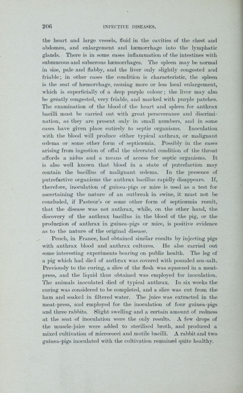 the heart and large vessels, fluid in the cavities of the chest and abdomen, and enlargement and haemorrhage into the lymphatic glands. There is in some cases inflammation of the intestines with submucous and subserous haemorrhages. The spleen may be normal in size, pale and flabby, and the liver only slightly congested and friable; in other cases the condition is characteristic, the spleen is the seat of haemorrhage, causing more or less local enlargement, which is superficially of a deep purple colour; the liver may also be greatly congested, very friable, and marked with purple patches. The examination of the blood of the heart and spleen for anthrax bacilli must be carried out with great perseverance and discrimi- nation, as they are present only in small numbers, and in some cases have given place entirely to septic organisms. Inoculation with the blood will produce either typical anthrax, or malignant oedema or some other form of septicaemia. Possibly in the cases arising from ingestion of offal the ulcerated condition of the throat affords a nidus and a means of access for septic organisms. It is also well known that blood in a state of putrefaction may contain the bacillus of malignant oedema. In the presence of putrefactive organisms the anthrax bacillus rapidly disappears. If, therefore, inoculation of guinea-pigs or mice is used as a test for ascertaining the nature of an outbreak in swine, it must not be concluded, if Pasteur’s or some other form of septicaemia result, that the disease was not anthrax, while, on the other hand, the discovery of the anthrax bacillus in the blood of the pig, or the production of anthrax in guinea-pigs or mice, is positive evidence as to the nature of the original disease. Peuch, in France, had obtained similar results by injecting pigs with anthrax blood and anthrax cultures. He also carried out some interesting experiments bearing on public health. The leg of a pig which had died of anthrax was covered with pounded sea-salt. Previously to the curing, a slice of the flesh was squeezed in a meat- press, and the liquid thus obtained was employed for inoculation. The animals inoculated died of typical anthrax. In six weeks the curing was considered to be completed, and a slice was cut from the ham and soaked in filtered water. The juice was extracted in the meat-press, and employed for the inoculation of four guinea-pigs and three rabbits. Slight swelling and a certain amount of redness at the seat of inoculation were the only results. A few drops of the muscle-juice were added to sterilised broth, and produced a mixed cultivation of micrococci and motile bacilli. A rabbit and two guinea-pigs inoculated with the cultivation remained quite healthy.