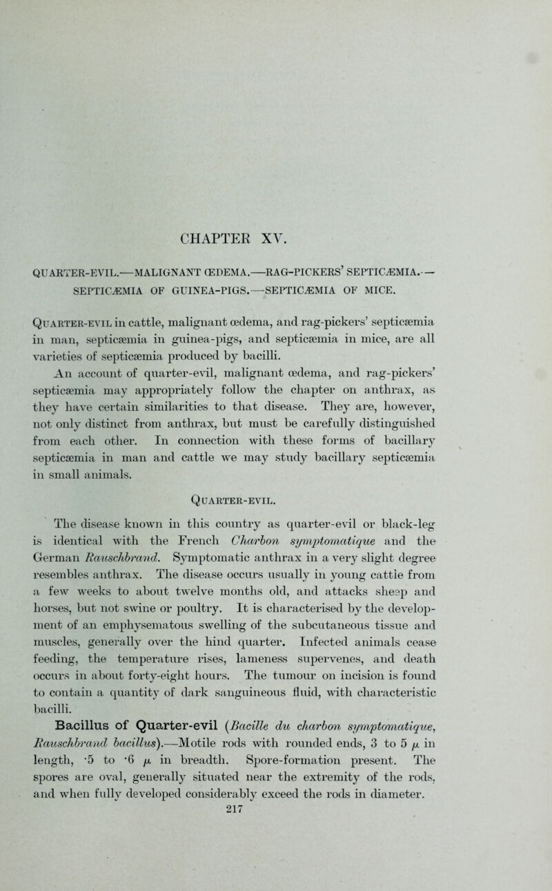 CHAPTER XV. QUARTER-EVIL.—MALIGNANT CEDEMA.—RAG-PICKERS’ SEPTICAEMIA.— SEPTICAEMIA OF GUINEA-PIGS.—SEPTICAEMIA OF MICE. Quarter-evil in cattle, malignant oedema, and rag-pickers’ septicaemia in man, septicaemia in guinea-pigs, and septicaemia in mice, are all varieties of septicaemia produced by bacilli. An account of quarter-evil, malignant oedema, and rag-pickers’ septicaemia may appropriately follow the chapter on anthrax, as they have certain similarities to that disease. They are, however, not only distinct from anthrax, but must be carefully distinguished from each other. In connection with these forms of bacillary septicaemia in man and cattle we may study bacillary septicaemia in small animals. Quarter-evil. The disease known in this country as quarter-evil or black-leg is identical with the French Charbon symptomatique and the German Rauschbrand. Symptomatic anthrax in a very slight degree resembles anthrax. The disease occurs usually in young cattle from a few weeks to about twelve months old, and attacks sheep and horses, but not swine or poultry. It is characterised by the develop- ment of an emphysematous swelling of the subcutaneous tissue and muscles, generally over the hind quarter. Infected animals cease feeding, the temperature rises, lameness supervenes, and death occurs in about forty-eight hours. The tumour on incision is found to contain a quantity of dark sanguineous fluid, with characteristic bacilli. Bacillus of Quarter-evil (Bacille du charbon symptomatique, Rauschbrand bacillus).—Motile rods with rounded ends, 3 to 5 p in length, -5 to *6 p in breadth. Spore-formation present. The spores are oval, generally situated near the extremity of the rods, and when fully developed considerably exceed the rods in diameter.