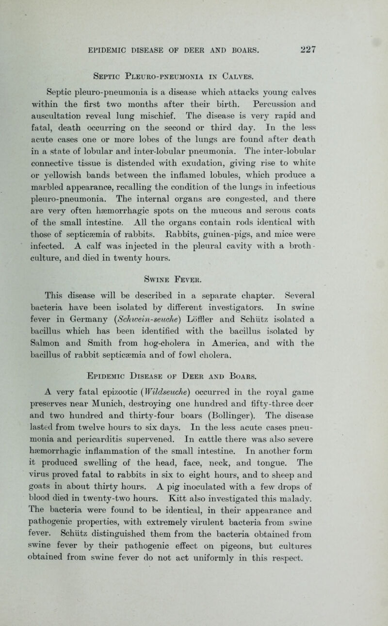 Septic Pleuro-pneumonia in Calves. Septic pleuro-pneumonia is a disease which attacks young calves within the first two months after their birth. Percussion and auscultation reveal lung mischief. The disease is very rapid and fatal, death occurring on the second or third day. In the less acute cases one or more lobes of the lungs are found after death in a state of lobular and inter-lobular pneumonia. The inter-lobular connective tissue is distended with exudation, giving rise to white or yellowish bands between the inflamed lobules, which produce a marbled appearance, recalling the condition of the lungs in infectious pleuro-pneumonia. The internal organs are congested, and there are very often haemorrhagic spots on the mucous and serous coats of the small intestine. All the organs contain rods identical with those of septicaemia of rabbits. Rabbits, guinea-pigs, and mice were infected. A calf was injected in the pleural cavity with a broth- culture, and died in twenty hours. Swine Fever. This disease will be described in a separate chapter. Several bacteria have been isolated by different investigators. In swine fever in Germany (Schwein-seuche) Loffler and Schiitz isolated a bacillus which has been identified with the bacillus isolated by Salmon and Smith from hog-cholera in America, and with the bacillus of rabbit septicaemia and of fowl cholera. Epidemic Disease of Deer and Boars. A very fatal epizootic (Wildseuche) occurred in the royal game preserves near Munich, destroying one hundred and fifty-three deer and two hundred and thirty-four boars (Bollinger). The disease lasted from twelve hours to six days. In the less acute cases pneu- monia and pericarditis supervened. In cattle there was also severe haemorrhagic inflammation of the small intestine. In another form it produced swelling of the head, face, neck, and tongue. The virus proved fatal to rabbits in six to eight hours, and to sheep and goats in about thirty hours. A pig inoculated with a few drops of blood died in twenty-two hours. Kitt also investigated this malady. The bacteria were found to be identical, in their appearance and pathogenic properties, with extremely virulent bacteria from swine fever. Schiitz distinguished them from the bacteria obtained from swine fever by their pathogenic effect on pigeons, but cultures obtained from swine fever do not act uniformly in this respect.