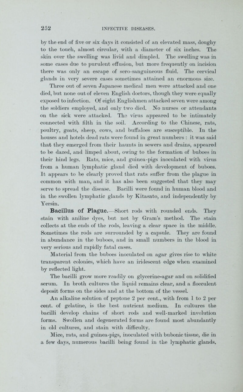 by the end of five or six days it consisted of an elevated mass, doughy to the touch, almost circular, with a diameter of six inches. The skin over the swelling was livid and dimpled. The swelling was in some cases due to purulent effusion, but more frequently on incision there was only an escape of sero-sanguineous fluid. The cervical glands in very severe cases sometimes attained an enormous size. Three out of seven Japanese medical men were attacked and one died, but none out of eleven English doctors, though they were equally exposed to infection. Of eight Englishmen attacked seven were among the soldiers employed, and only two died. No nurses or attendants on the sick were attacked. The virus appeared to be intimately connected with filth in the soil. According to the Chinese, rats, poultry, goats, sheep, cows, and buffaloes are susceptible. In the houses and hotels dead rats were found in great numbers : it was said that they emerged from their haunts in sewers and drains, appeared to be dazed, and limped about, owing to the formation of buboes in their hind legs. Rats, mice, and guinea-pigs inoculated with virus from a human lymphatic gland died with development of buboes. It appears to be clearly proved that rats suffer from the plague in common with man, and it has also been suggested that they may serve to spread the disease. Bacilli were found in human blood and in the swollen lymphatic glands by Kitasato, and independently by Yersin. Bacillus of Plague.—Short rods with rounded ends. They stain with aniline dyes, but not by Gram’s method. The stain collects at the ends of the rods, leaving a clear space in the middle. Sometimes the rods are surrounded by a capsule. They are found in abundance in the buboes, and in small numbers in the blood in very serious and rapidly fatal cases. Material from the buboes inoculated on agar gives rise to white transparent colonies, which have an iridescent edge when examined by reflected light. The bacilli grow more readily on glycerine-agar and on solidified serum. In broth cultures the liquid remains clear, and a floeculent deposit forms on the sides and at the bottom of the vessel. An alkaline solution of peptone 2 per cent., with from 1 to 2 per cent, of gelatine, is the best nutrient medium. In cultures the bacilli develop chains of short rods and well-marked involution forms. Swollen and degenerated forms are found most abundantly in old cultures, and stain with difficulty. Mice, rats, and guinea-pigs, inoculated with bubonic tissue, die in a few days, numerous bacilli being found in the lymphatic glands.