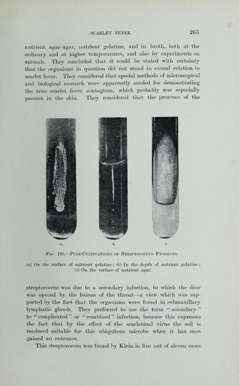 nutrient agar-agar, nutrient gelatine, and in broth, both at the ordinary and at higher temperatures, and also by experiments oil animals. They concluded that it could be stated with certainty that the organisms in question did not stand in causal relation to scarlet fever. They considered that special methods of microscopical and biological research were apparently needed for demonstrating the true scarlet fever contagium, which probably was especially present in the skin. They considered that the presence of the Fig. 125.—Pure-Cultivations of Streptococcus Pyogenes. (a) On the surface of nutrient gelatine; (6) In the depth of nutrient gelatine (c) On the surface of nutrient agar. streptococcus was due to a secondary infection, to which the door was opened by the lesions of the throat—a view which was sup- ported by the fact that the organisms were found in submaxillary lymphatic glands. They preferred to use the term “ secondary ” to “complicated” or “combined” infection, because this expresses the fact that by the effect of the scarlatinal virus the soil is rendered suitable for this ubiquitous microbe when it has once gained an entrance. This streptococcus was found by Klein in five out of eleven cases