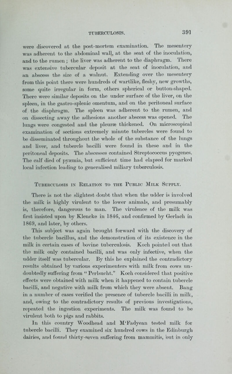 were discovered at the post-mortem examination. The mesentery was adherent to the abdominal wall, at the seat of the inoculation, and to the rumen ; the liver was adherent to the diaphragm. There was extensive tubercular deposit at the seat of inoculation, and an abscess the size of a walnut. Extending over the mesentery from this point there were hundreds of wartlike, fleshy, new growths, some quite irregular in form, others spherical or button-shaped. There were similar deposits on the under surface of the liver, on the spleen, in the gastro-splenic omentum, and on the peritoneal surface of the diaphragm. The spleen was adherent to the rumen, and on dissecting away the adhesions another abscess was opened. The lungs were congested and the pleurse thickened. On microscopical examination of sections extremely minute tubercles were found to be disseminated throughout the whole of the substance of the lungs and liver, and tubercle bacilli were found in these and in the peritoneal deposits. The abscesses contained Streptococcus pyogenes. The calf died of pyaemia, but sufficient time had elapsed for marked local infection leading to generalised miliary tuberculosis. Tuberculosis in Relation to the Public Milk Supply. There is not the slightest doubt that when the udder is involved the milk is highly virulent to the lower animals, and presumably is, therefore, dangerous to man. The virulence of the milk was first insisted upon by Klencke in 1846, and confirmed by Gerlach in 1869, and later, by others. This subject was again brought forward with the discovery of the tubercle bacillus, and the demonstration of its existence in the milk in certain cases of bovine tuberculosis. Koch pointed out that the milk only contained bacilli, and was only infective, when the udder itself was tubercular. By this he explained the contradictory results obtained by various experimenters with milk from cows un- doubtedly suffering from “ Perlsucht.” Koch considered that positive effects were obtained with milk when it happened to contain tubercle bacilli, and negative with milk from which they were absent. Bang in a number of cases verified the presence of tubercle bacilli in milk, and, owing to the contradictory results of previous investigations, repeated the ingestion experiments. The milk was found to be virulent both to pigs and rabbits. In this country Woodhead and M‘Fadyean tested milk for tubercle bacilli. They examined six hundred cows in the Edinburgh dairies, and found thirty-seven suffering from mammitis, but in only