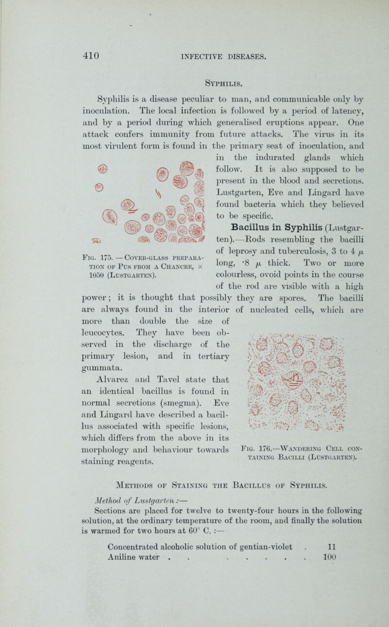 Syphilis. © % -■^6* _ *m '^_5 Syphilis is a disease peculiar to man, and communicable only by inoculation. The local infection is followed by a period of latency, and by a period during which generalised eruptions appear. One attack confers immunity from future attacks. The virus in its most virulent form is found in the primary seat of inoculation, and in the indurated glands which follow. It is also supposed to be present in the blood and secretions. Lustgarten, Eve and Lingard have found bacteria which they believed to be specific. Bacillus in Syphilis (Lustgar- ten).—Rods resembling the bacilli of leprosy and tuberculosis, 3 to 4 /x long, ’8 /x thick. Two or more colourless, ovoid points in the course of the rod are visible with a high power; it is thought that possibly they are spores. The bacilli are always found in the interior of nucleated cells, which are more than double the size of leucocytes. They have been ob- v. served in the discharge of the primary lesion, and in tertiary gummata. Alvarez and Tavel state that an identical bacillus is found in normal secretions (smegma). Eve and Lingard have described a bacil- lus associated with specific lesions, which differs from the above in its morphology and behaviour towards Eig. 176.—Wandering Cell con- taining Bacilli (Lustgarten). Fig. 175. —Cover-glass prepara- tion of Pus from a Chancre, x 1050 (Lustgarten). Methods of Staining the Bacillus of Syphilis. Method of Lustgarten:— Sections are placed for twelve to twenty-four hours in the following solution, at the ordinary temperature of the room, and finally the solution is warmed for two hours at 60° C. :— Concentrated alcoholic solution of gentian-violet . 11 Aniline water . . ..... 100