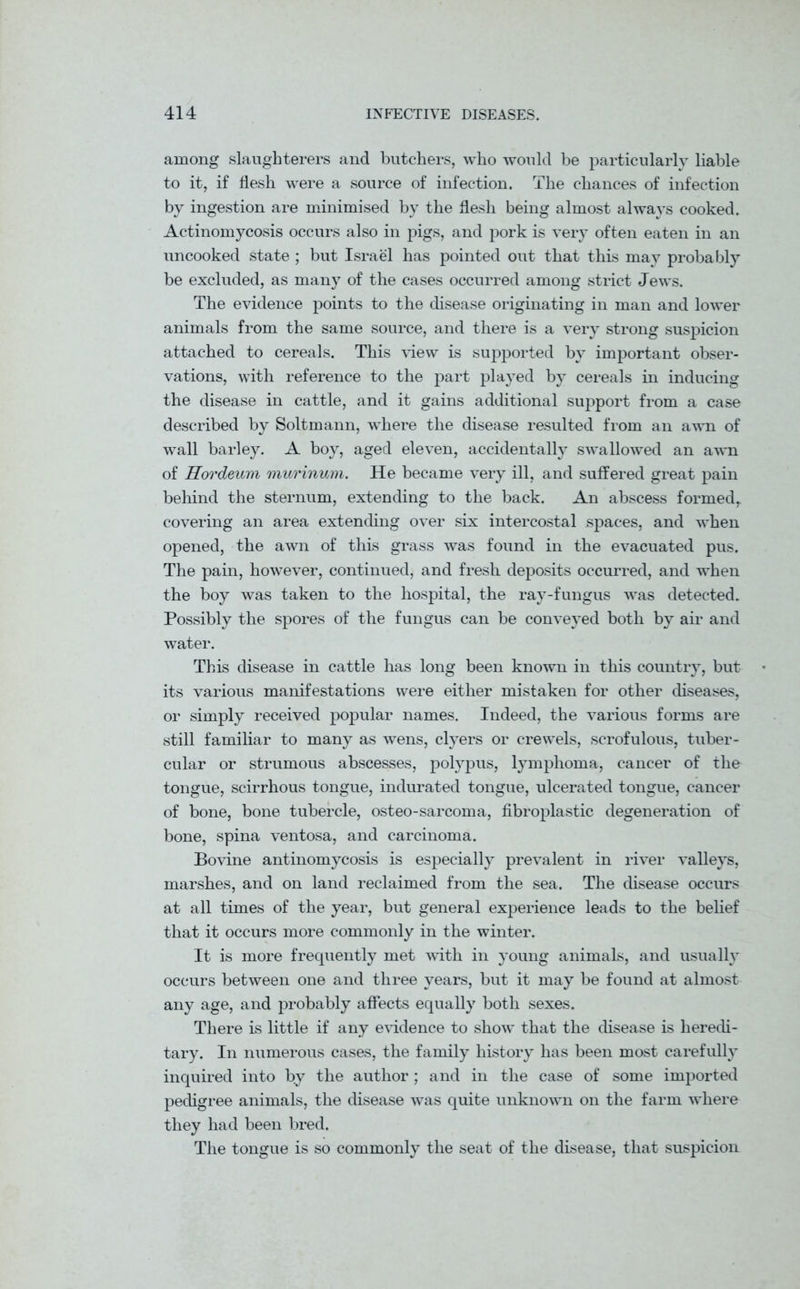 among slaughterers and butchers, who would be particularly liable to it, if flesh were a source of infection. The chances of infection by ingestion are minimised by the flesh being almost always cooked. Actinomycosis occurs also in pigs, and pork is very often eaten in an uncooked state ; but Israel has pointed out that this may probably be excluded, as many of the cases occurred among strict Jews. The evidence points to the disease originating in man and lower animals from the same source, and there is a very strong suspicion attached to cereals. This view is supported by important obser- vations, with reference to the part played by cereals in inducing the disease in cattle, and it gains additional support from a case described by Soltmann, wiiere the disease resulted from an awn of wall barley. A boy, aged eleven, accidentally swallowed an awn of Hordeum murinum. He became very ill, and suffered great pain behind the sternum, extending to the back. An abscess formed,, covering an area extending over six intercostal spaces, and when opened, the awn of this grass was found in the evacuated pus. The pain, however, continued, and fresh deposits occurred, and when the boy was taken to the hospital, the ray-fungus was detected. Possibly the spores of the fungus can be conveyed both by air and water. This disease in cattle has long been known in this country, but its various manifestations were either mistaken for other diseases, or simply received popular names. Indeed, the various forms are still familiar to many as wens, dyers or crewels, scrofulous, tuber- cular or strumous abscesses, polypus, lymphoma, cancer of the tongue, scirrhous tongue, indurated tongue, ulcerated tongue, cancer of bone, bone tubercle, osteo-sarcoma, fibroplastic degeneration of bone, spina ventosa, and carcinoma. Bovine antinomycosis is especially prevalent in river valleys, marshes, and on land reclaimed from the sea. The disease occurs at all times of the year, but general experience leads to the belief that it occurs more commonly in the winter. It is more frequently met with in young animals, and usually occurs between one and three years, but it may be found at almost any age, and probably affects equally both sexes. There is little if any evidence to show that the disease is heredi- tary. In numerous cases, the family history has been most carefully inquired into by the author; and in the case of some imported pedigree animals, the disease was quite unknown on the farm where they had been bred. The tongue is so commonly the seat of the disease, that suspicion