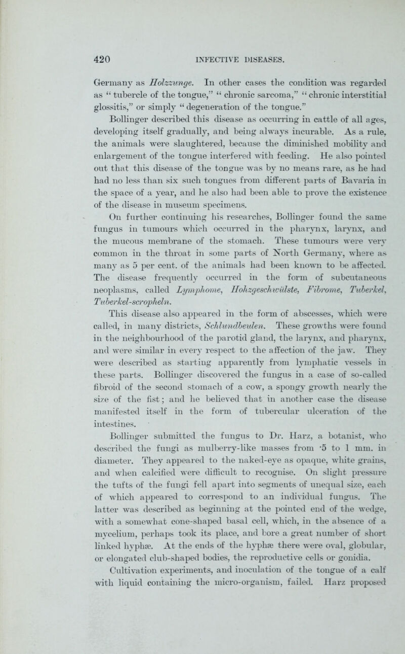 Germany as Holzzunge. In other cases the condition was regarded as “ tubercle of the tongue/’ “ chronic sarcoma,” li chronic interstitial glossitis,” or simply “ degeneration of the tongue.” Bollinger described this disease as occurring in cattle of all ages, developing itself gradually, and being always incurable. As a rule, the animals were slaughtered, because the diminished mobility and enlargement of the tongue interfered with feeding. He also pointed out that this disease of the tongue was by no means rare, as he had had no less than six such tongues from different parts of Bavaria in the space of a year, and he also had been able to prove the existence of the disease in museum specimens. On further continuing his researches, Bollinger found the same fungus in tumours which occurred in the pharynx, larynx, and the mucous membrane of the stomach. These tumours were very common in the throat in some parts of North Germany, where as many as 5 per cent, of the animals had been known to be affected. The disease frequently occurred in the form of subcutaneous neoplasms, called Lymphome, Ilohzgeschiciilste, Fibrome, Tuberkel, Tu berkel-scropheln. This disease also appeared in the form of abscesses, which were called, in many districts, Schlundbeulen. These growths were found in the neighbourhood of the parotid gland, the larynx, and pharynx, and were similar in every respect to the affection of the jaw. They were described as starting apparently from lymphatic vessels in these parts. Bollinger discovered the fungus in a case of so-called fibroid of the second stomach of a cow, a spongy growth nearly the size of the fist; and he believed that in another case the disease manifested itself in the form of tubercular ulceration of the intestines. Bollinger submitted the fungus to Dr. Harz, a botanist, who described the fungi as mulberry-like masses from ‘5 to 1 mm. in diameter. They appeared to the naked-eye as opaque, white grains, and when calcified were difficult to recognise. On slight pressure the tufts of the fungi fell apart into segments of unequal size, each of which appeared to correspond to an individual fungus. The latter was described as beginning at the pointed end of the wedge, with a somewhat cone-shaped basal cell, which, in the absence of a mycelium, perhaps took its place, and bore a great number of short linked hyphse. At the ends of the liyphae there were oval, globular, or elongated club-shaped bodies, the reproductive cells or gonidia. Cultivation experiments, and inoculation of the tongue of a calf with liquid containing the micro-organism, failed. Harz proposed