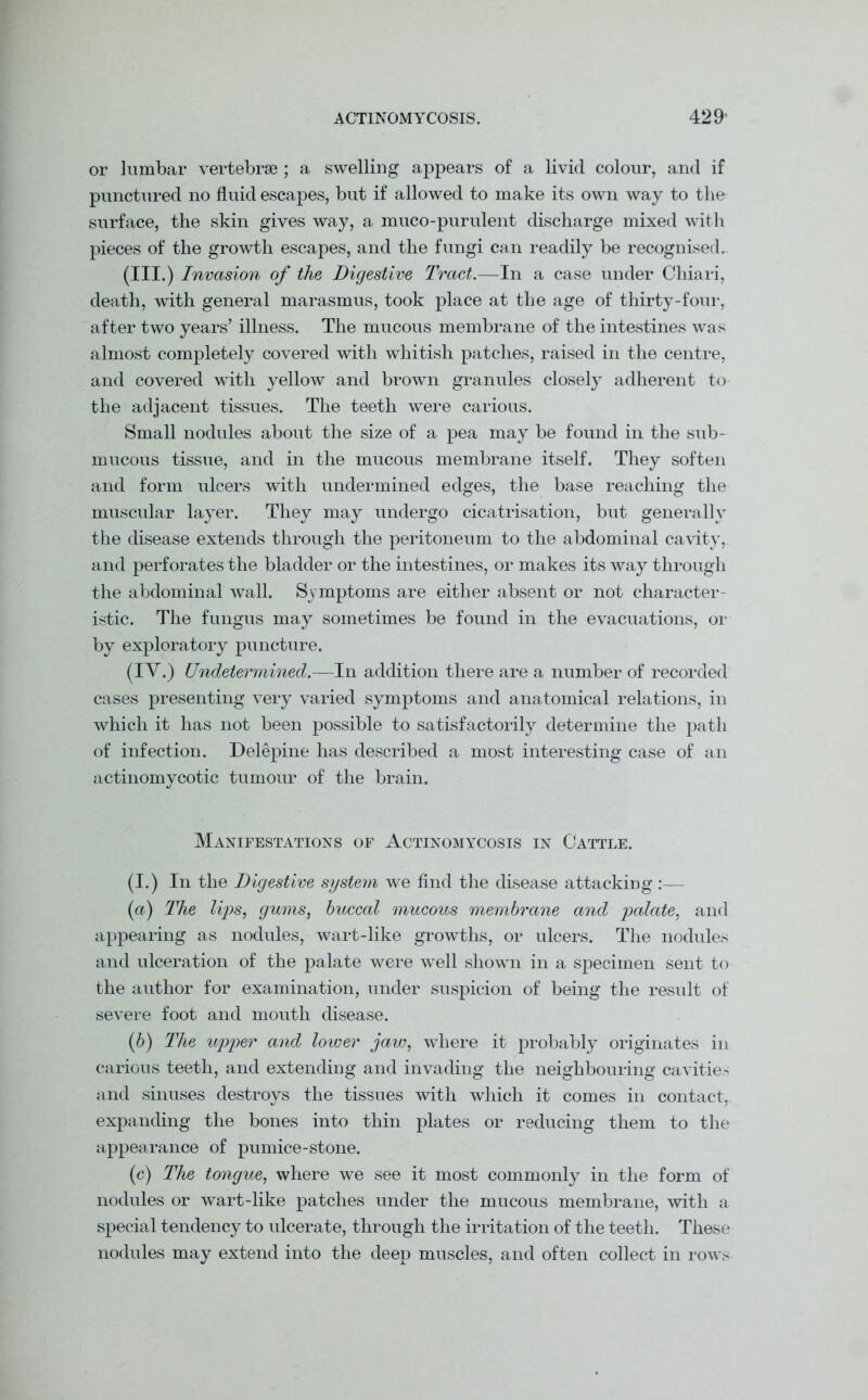 or lumbar vertebrae ; a swelling appears of a livid colour, and if punctured no fluid escapes, but if allowed to make its own way to the surface, the skin gives way, a muco-purulent discharge mixed with pieces of the growth escapes, and the fungi can readily be recognised. (in.) Invasion of the Digestive Tract.—In a case under Chiari, death, with general marasmus, took place at the age of thirty-four, after two years’ illness. The mucous membrane of the intestines was almost completely covered with whitish patches, raised in the centre, and covered with yellow and brown granules closely adherent to the adjacent tissues. The teeth were carious. Small nodules about the size of a pea may be found in the sub- mucous tissue, and in the mucous membrane itself. They soften and form ulcers with undermined edges, the base reaching the muscular layer. They may undergo cicatrisation, but generally the disease extends through the peritoneum to the abdominal cavity, and perforates the bladder or the intestines, or makes its way through the abdominal Avail. Symptoms are either absent or not character- istic. The fungus may sometimes be found in the evacuations, or by exploratory puncture. (IY.) Undetermined.—In addition there are a number of recorded cases presenting very varied symptoms and anatomical relations, in which it has not been possible to satisfactorily determine the path of infection. Delepine has described a most interesting case of an actinomycotic tumour of the brain. Manifestations of Actinomycosis in Cattle. (I.) In the Digestive system we find the disease attacking :— (a) The lips, gums, buccal mucous membrane and palate, and appearing as nodules, wart-like growths, or ulcers. The nodules and ulceration of the palate were well shown in a specimen sent to the author for examination, under suspicion of being the result of severe foot and mouth disease. (b) The upper and loicer jaw, where it probably originates in carious teeth, and extending and invading the neighbouring ca\’ities and sinuses destroys the tissues with which it comes in contact, expanding the bones into thin plates or reducing them to the appearance of pumice-stone. (c) The tongue, where we see it most commonly in the form of nodules or wart-like patches under the mucous membrane, with a special tendency to ulcerate, through the irritation of the teeth. These nodules may extend into the deep muscles, and often collect in rows