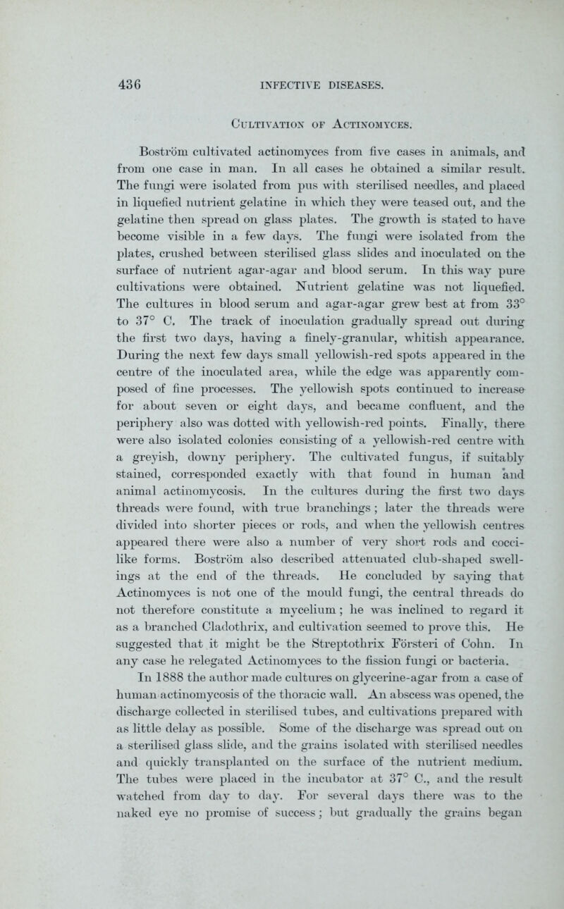 Cultivation of Actinomyces. Bostrom cultivated actinomyces from five cases in animals, and from one case in man. In all cases he obtained a similar result. The fungi were isolated from pus with sterilised needles, and placed in liquefied nutrient gelatine in which they were teased out, and the gelatine then spread on glass plates. The growth is stated to have become visible in a few days. The fungi were isolated from the plates, crushed between sterilised glass slides and inoculated on the surface of nutrient agar-agar and blood serum. In this way pure cultivations were obtained. Nutrient gelatine was not liquefied. The cultures in blood serum and agar-agar grew best at from 33° to 37° C. The track of inoculation gradually spread out during the first two days, having a finely-granular, whitish appearance. During the next few days small yellowish-red spots appeared in the centre of the inoculated area, while the edge was apparently com- posed of fine processes. The yellowish spots continued to increase for about seven or eight days, and became confluent, and the periphery also was dotted with yellowish-red points. Finally, there were also isolated colonies consisting of a yellowish-red centre with a greyish, downy periphery. The cultivated fungus, if suitably stained, corresponded exactly with that found in human and animal actinomycosis. In the cultures during the first two days threads were found, with true branchings ; later the threads were divided into shorter pieces or rods, and when the yellowish centres appeared there were also a number of very short rods and cocci- like forms. Bostrom also described attenuated club-shaped swell- ings at the end of the threads. He concluded by saying that Actinomyces is not one of the mould fungi, the central threads do not therefore constitute a mycelium; he was inclined to regard it as a branched Cladothrix, and cultivation seemed to prove this. He suggested that it might be the Streptothrix Forsteri of Cohn. In any case he relegated Actinomyces to the fission fungi or bacteria. In 1888 the author made cultures on glycerine-agar from a case of human actinomycosis of the thoracic wall. An abscess was opened, the discharge collected in sterilised tubes, and cultivations prepared with as little delay as possible. Some of the discharge was spread out on a sterilised glass slide, and the grains isolated with sterilised needles and quickly transplanted on the surface of the nutrient medium. The tubes were placed in the incubator at 37° C., and the result watched from day to day. For several days there was to the naked eye no promise of success; but gradually the grains began