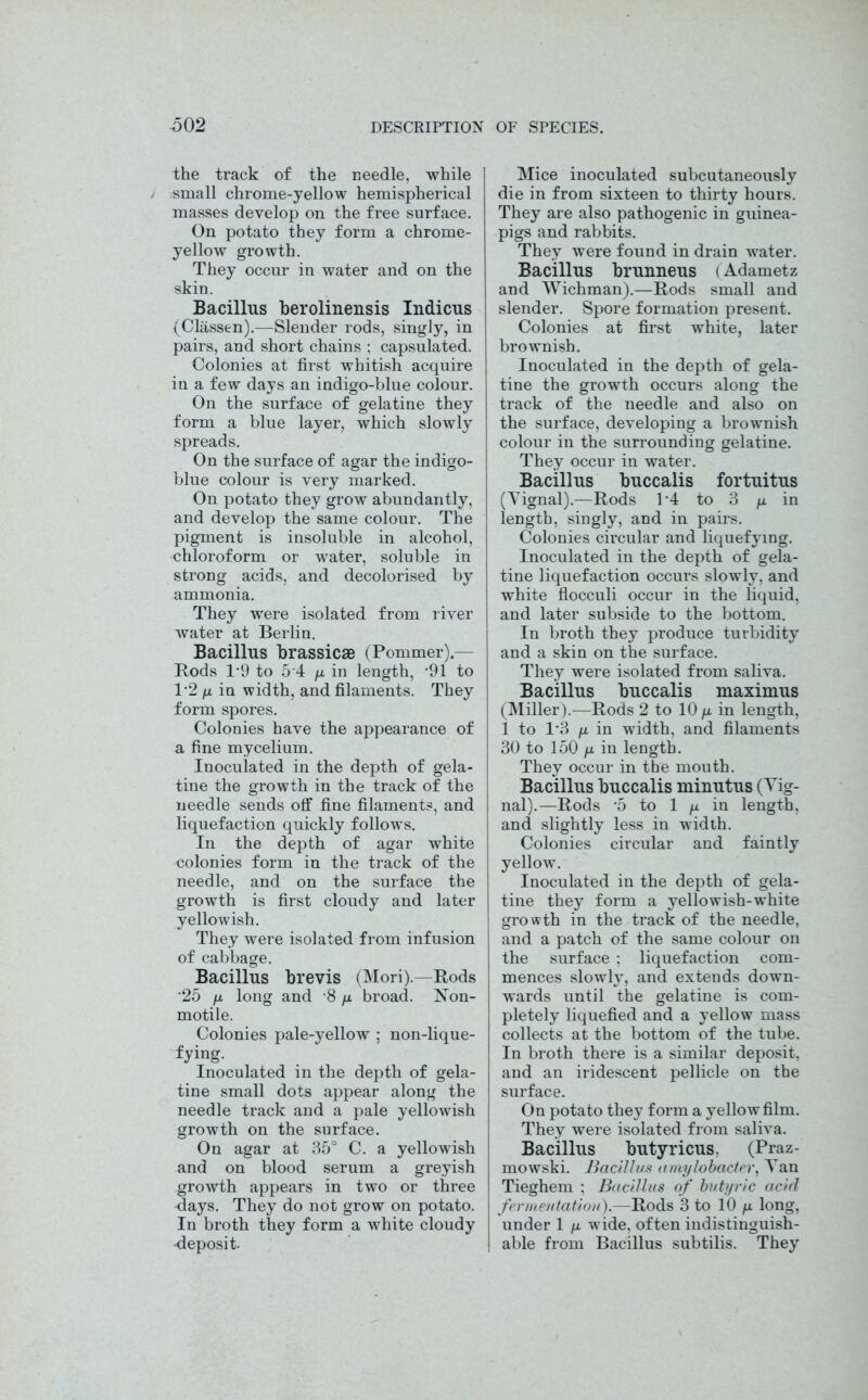 the track of the needle, while small chrome-yellow hemispherical masses develop on the free surface. On potato they form a chrome- yellow growth. They occur in water and on the skin. Bacillus berolinensis Indicus (Classen).—Slender rods, singly, in pairs, and short chains ; capsulated. Colonies at first whitish acquire in a few days an indigo-blue colour. On the surface of gelatine they form a blue layer, which slowly spreads. On the surface of agar the indigo- blue colour is very marked. On potato they grow abundantly, and develop the same colour. The pigment is insoluble in alcohol, chloroform or water, soluble in strong acids, and decolorised by ammonia. They were isolated from river water at Berlin. Bacillus brassicae fPommer).- Rods T9 to 5 4 y in length, -91 to T2 fx in width, and filaments. They form spores. Colonies have the appearance of a fine mycelium. Inoculated in the depth of gela- tine the growth in the track of the needle sends off fine filaments, and liquefaction quickly follows. In the depth of agar white colonies form in the track of the needle, and on the surface the growth is first cloudy and later yellowish. They were isolated from infusion of cabbage. Bacillus brevis (Mori).—Rods *25 /x long and -8 /x broad. Non- motile. Colonies pale-yellow ; non-lique- fying. Inoculated in the depth of gela- tine small dots appear along the needle track and a pale yellowish growth on the surface. On agar at 35° C. a yellowish and on blood serum a greyish growth appears in two or three days. They do not grow on potato. In broth they form a white cloudy -deposit. Mice inoculated subcutaneously die in from sixteen to thirty hours. They are also pathogenic in guinea- pigs and rabbits. They were found in drain water. Bacillus brunneus (Adametz and Wichman).—Rods small and slender. Spore formation present. Colonies at first white, later brownish. Inoculated in the depth of gela- tine the growth occurs along the track of the needle and also on the surface, developing a brownish colour in the surrounding gelatine. They occur in water. Bacillus buccalis fortuitus (Yignal).—Rods T4 to 3 y in length, singly, and in pairs. Colonies circular and liquefying. Inoculated in the depth of gela- tine liquefaction occurs slowly, and white flocculi occur in the liquid, and later subside to the bottom. In broth they produce turbidity and a skin on the surface. They were isolated from saliva. Bacillus buccalis maximus (Miller).—Rods 2 to 10 y in length, 1 to 1*3 y in width, and filaments 30 to 150 /x in length. They occur in the mouth. Bacillus buccalis minutus (Yig- nal).—Rods ‘5 to 1 /x in length, and slightly less in width. Colonies circular and faintly yellow. Inoculated in the depth of gela- tine they form a yellowish-white growth in the track of the needle, and a patch of the same colour on the surface ; liquefaction com- mences slowly, and extends down- wards until the gelatine is com- pletely liquefied and a yellow mass collects at the bottom of the tube. In broth there is a similar deposit, and an iridescent pellicle on the surface. On potato they form a yellow film. They were isolated from saliva. Bacillus butyricus. (Praz- mowski. Bacillus amylobacter, Yan Tieghem ; Bacillus of butyric acid fermentation).—Rods 3 to 10 y long, under 1 y wide, often indistinguish- able from Bacillus subtilis. They