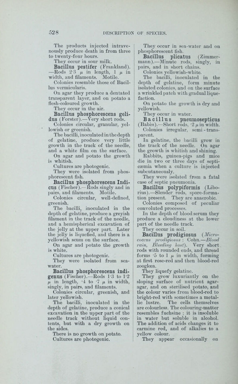 The products injected intrave- ! nously produce death in from three | to twenty-four hours. They occur in sour milk. Bacillus pestifer (Frankland). —Rods 2*3 fx. in length, 1 p, in j width, and filaments. Motile. Colonies resemble those of Bacil- lus vermicularis. On agar they produce a dentated transparent layer, and on potato a flesh-coloured growth. They occur in the air. Bacillus phosphorescens geli- dus (Forster).—Very short rods. Colonies circular, granular, yel- ; lowish or greenish. The bacilli, inoculated in the depth J of gelatine, produce very little growth in the track of the needle, j and a white film on the surface. On agar and potato the growth j is whitish. Cultures are photogenic. They were isolated from phos- | phorescent fish. Bacillus phosphorescens Indi- CUS (Fischer).—Rods singly and in pairs, and filaments. Motile. Colonies circular, well-defined, ' greenish. The bacilli, inoculated in the j depth of gelatine, produce a greyish I filament in the track of the needle, i and a hemispherical excavation of | the jelly at the upper part. Later i the jelly is liquefied, and there is a yellowish scum on the surface. On agar and potato the growth is white. Cultures are photogenic. They were isolated from sea- water. Bacillus phosphorescens indi- genus (Fischer).—Rods 1*3 to 1*2 H in length, *4 to '7 /x in width, | singly, in pairs, and filaments. Colonies circular, greenish, and | later yellowish. The bacilli, inoculated in the depth of gelatine, produce a conical excavation in the upper part of the needle track without liquid con- tents, but with a dry growth on the sides. There is no growth on potato. Cultures are photogenic. They occur in sea-water and on phosphorescent fish. Bacillus plicatus (Zimmer- mann).—Minute rods, singly, in pairs, and in short chains. Colonies yellowish-white. The bacilli, inoculated in the depth of gelatine, form minute isolated colonies, and on the surface a wrinkled patch with gradual lique- faction. On potato the growth is dry and yellowish. They occur in water. Bacillus pneumosepticus (Babes).—Short rods, '2 g. in width. Colonies irregular, semi - trans- parent. In gelatine, the bacilli grow in the track of the needle. On agar the growth is whitish and shining. Rabbits, guinea-pigs and mice die in two or three days of septi- caemia when a culture is injected subcutaneously. They were isolated from a fatal case of septic pneumonia. Bacillus polypiformis (Libo- rius).—Slender rods, spore-forma- tion present. They are anaerobic. Colonies composed of peculiar convoluted processes. In the depth of blood serum they produce a cloudiness at the lower part of the needle track. They occur in soil. Bacillus prodigiosus (Micro- coccus 2)r°digi°sus '■ Cohn.—Blood rain, Bleeding host). Very short rods with rounded ends, and thread forms ’5 to 1 g in width, forming at first rose-red and then blood-red zooglcea. They liquefy gelatine. They grow luxuriantly on the sloping surface of nutrient agar- agar, and on sterilised potato, and the colour varies from blood-red to bright-red with sometimes a metal- lic lustre. The cells themselves are colourless. The colouring-matter resembles fuchsine : it is insoluble in water but soluble in alcohol. The addition of acids changes it to carmine red, and of alkalies to a yellow colour. They appear occasionally on