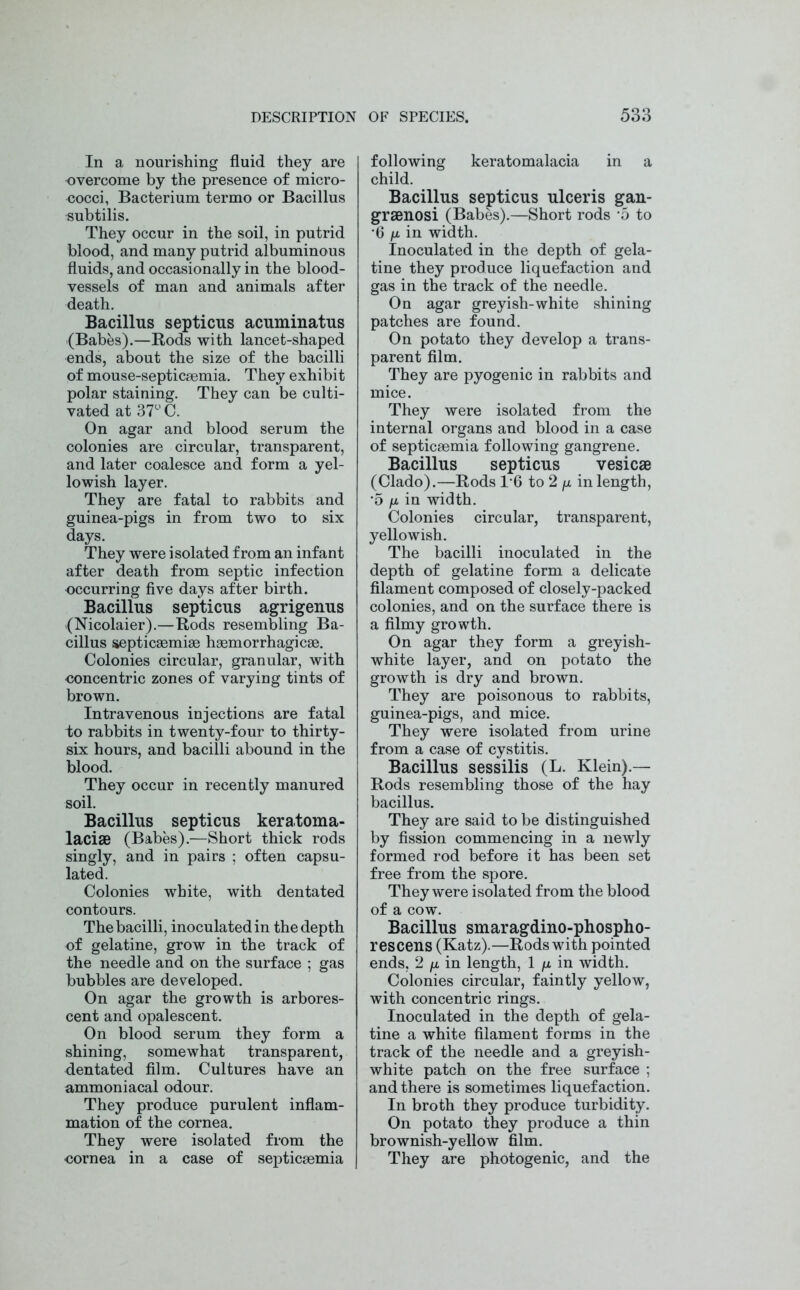 In a nourishing fluid they are overcome by the presence of micro- cocci, Bacterium termo or Bacillus «ubtilis. They occur in the soil, in putrid blood, and many putrid albuminous fluids, and occasionally in the blood- vessels of man and animals after death. Bacillus septicus acuminatus (Babes).—Rods with lancet-shaped ends, about the size of the bacilli of mouse-septicsemia. They exhibit polar staining. They can be culti- vated at 37° C. On agar and blood serum the colonies are circular, transparent, and later coalesce and form a yel- lowish layer. They are fatal to rabbits and guinea-pigs in from two to six days. They were isolated from an infant after death from septic infection occurring five days after birth. Bacillus septicus agrigenus (Nicolaier).—Rods resembling Ba- cillus septicaemiae haemorrhagicae. Colonies circular, granular, with concentric zones of varying tints of brown. Intravenous injections are fatal to rabbits in twenty-four to thirty- six hours, and bacilli abound in the blood. They occur in recently manured soil. Bacillus septicus keratoma- laciae (Babes).—Short thick rods singly, and in pairs ; often capsu- lated. Colonies white, with dentated contours. The bacilli, inoculated in the depth of gelatine, grow in the track of the needle and on the surface ; gas bubbles are developed. On agar the growth is arbores- cent and opalescent. On blood serum they form a shining, somewhat transparent, dentated film. Cultures have an ammoniacal odour. They produce purulent inflam- mation of the cornea. They were isolated from the cornea in a case of septicaemia following keratomalacia in a child. Bacillus septicus ulceris gan- graenosi (Babes).—Short rods *5 to *6 fjL in width. Inoculated in the depth of gela- tine they produce liquefaction and gas in the track of the needle. On agar greyish-white shining patches are found. On potato they develop a trans- parent film. They are pyogenic in rabbits and mice. They were isolated from the internal organs and blood in a case of septicaemia following gangrene. Bacillus septicus vesicae (Clado).—Rods 16 to 2 p, in length, •5 /x in width. Colonies circular, transparent, yellowish. The bacilli inoculated in the depth of gelatine form a delicate filament composed of closely-packed colonies, and on the surface there is a filmy growth. On agar they form a greyish- white layer, and on potato the growth is dry and brown. They are poisonous to rabbits, guinea-pigs, and mice. They were isolated from urine from a case of cystitis. Bacillus sessilis (L. Klein).— Rods resembling those of the hay bacillus. They are said to be distinguished by fission commencing in a newly formed rod before it has been set free from the spore. They were isolated from the blood of a cow. Bacillus smaragdino-phospho- rescens (Katz).—Rods with pointed ends, 2 ju, in length, 1 fx in width. Colonies circular, faintly yellow, with concentric rings. Inoculated in the depth of gela- tine a white filament forms in the track of the needle and a greyish- white patch on the free surface ; and there is sometimes liquefaction. In broth they produce turbidity. On potato they produce a thin brownish-yellow film. They are photogenic, and the