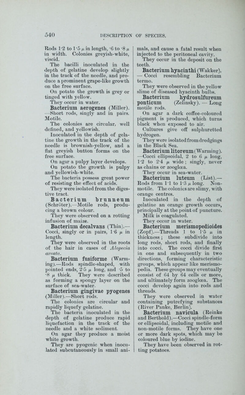 Rods 1*2 to 1 '5 fj. in length, -6 to *8 n in width. Colonies greyish-white, viscid. The bacilli inoculated in the depth of gelatine develop slightly in the track of the needle, and pro- duce a prominent grape-like growth on the free surface. On potato the growth is grey or tinged with yellow. They occur in water. Bacterium aerogenes (Miller). —Short rods, singly and in pairs. Motile. The colonies are circular, well defined, and yellowish. Inoculated in the depth of gela- tine the growth in the track of the needle is brownish-yellow, and a flat greyish button forms on the free surface. On agar a pulpy layer develops. On potato the growth is pulpy and yellowish-white. The bacteria possess great power of resisting the effect of acids. They were isolated from the diges- tive tract. Bacterium brunneum (Schroter).—Motile rods, produ- cing a brown colour. They were observed on a rotting infusion of maize. Bacterium decalvans (Thin).— Cocci, singly or in pairs, T6 /u. in length. They were observed in the roots of the hair in cases of Alopecia areata. Bacterium fusiforme (Warm- ing).—Rods spindle-shaped, with pointed ends, 2-5 p. long, and *5 to 8 n thick. They were described as forming a spongy layer on the surface of sea-water. Bacterium gingivae pyogenes {Miller).—Short rods. The colonies are circular and rapidly liquefy gelatine. The bacteria inoculated in the depth of gelatine produce rapid liquefaction in the track of the needle and a white sediment. On agar they produce a moist white growth. They are pyogenic when inocu- lated subcutaneously in small ani- mals, and cause a fatal result when injected to the peritoneal cavity. They occur in the deposit on the teeth. Bacterium hyacinthi (Wakker). — Cocci resembling Bacterium termo. They were observed in the yellow slime of diseased hyacinth bulbs. Bacterium hydrosulfureum ponticum (Zelinsky). — Long motile rods. On agar a dark coffee-coloured pigment is produced, which turns black when exposed to air. Cultures give off sulphuretted hydrogen. They were isolated from dredgings in the Black Sea. Bacterium litoreum (Warming). —Cocci ellipsoidal, 2 to 6 /n long, 1*2 to 2’4 /i, wide; singly, never as chains or zooglcea. They occur in sea-water. Bacterium luteum (List).— Rods from IT to 1*3 /u. long. Non- mo tile. The colonies are slimy, with orange centres. Inoculated in the depth of gelatine an orange growth occurs, principally at the point of puncture. Milk is coagulated. They occur in water. Bacterium merismopedioides (Zopf).—Threads 1 to 1'5 u in thickness; these subdivide into long rods, short rods, and finally into cocci. The cocci divide first in one and subsequently in two directions, forming characteristic groups, which appear like merismo- pedia. These groups may eventually consist of 64 by 64 cells or more, and ultimately form zooglcea. The cocci develop again into rods and threads. They were observed in water containing putrefying substances (River Panke, Berlin). Bacterium navicula, (Reinke and Berthold).—Cocci spindle-form or ellipsoidal, including motile and non-motile forms. They have one or more dark spots, which may be coloured blue by iodine. They have been observed in rot- ting potatoes.