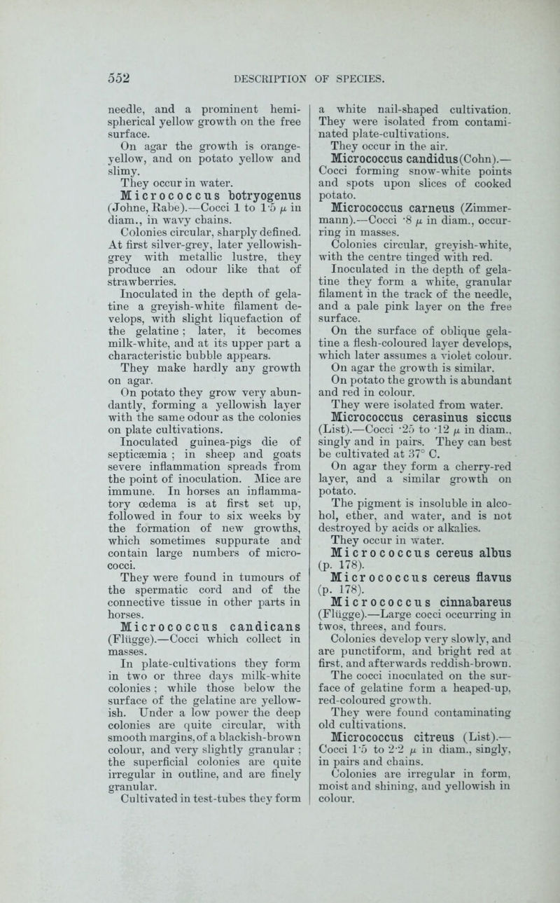 needle, and a prominent hemi- spherical yellow growth on the free surface. On agar the growth is orange- yellow, and on potato yellow and slimy. They occur in water. Micrococcus botryogenus (Johne, Rabe).—Cocci 1 to T5 /z in diam., in wavy chains. Colonies circular, sharply defined. At first silver-grey, later yellowish- grey with metallic lustre, they produce an odour like that of strawberries. Inoculated in the depth of gela- tine a greyish-white filament de- velops, with slight liquefaction of the gelatine; later, it becomes milk-white, and at its upper part a characteristic bubble appears. They make hardly any growth on agar. On potato they grow very abun- dantly, forming a yellowish layer with the same odour as the colonies on plate cultivations. Inoculated guinea-pigs die of septicEemia ; in sheep and goats severe inflammation spreads from the point of inoculation. Mice are immune. In horses an inflamma- tory oedema is at first set up, followed in four to six weeks by the formation of new growths, which sometimes suppurate and contain large numbers of micro- cocci. They were found in tumours of the spermatic cord and of the connective tissue in other parts in horses. Micrococcus candicans (Fliigge).—Cocci which collect in masses. In plate-cultivations they form in two or three days milk-white colonies; while those below the surface of the gelatine are yellow- ish. Under a low power the deep colonies are quite circular, with smooth margins, of a blackish-brown colour, and very slightly granular : the superficial colonies are quite irregular in outline, and are finely granular. Cultivated in test-tubes they form a white nail-shaped cultivation. They were isolated from contami- nated plate-cultivations. They occur in the air. Micrococcus caudidus(Cohn).— Cocci forming snow-white points and spots upon slices of cooked potato. Micrococcus carneus (Zimmer- mann).—Cocci -8 /z in diam., occur- ring in masses. Colonies circular, greyish-white, with the centre tinged with red. Inoculated in the depth of gela- tine they form a white, granular filament in the track of the needle, and a pale pink layer on the free surface. On the surface of oblique gela- tine a flesh-coloured layer develops, which later assumes a violet colour. On agar the growth is similar. On potato the growth is abundant and red in colour. They were isolated from water. Micrococcus cerasinus siccus (List).—Cocci -25 to T2 /i in diam., singly and in pairs. They can best be cultivated at 37° C. On agar they form a cherry-red layer, and a similar growth on potato. The pigment is insoluble in alco- hol, ether, and water, and is not destroyed by acids or alkalies. They occur in water. Micrococcus cereus albus (p. 178). Micrococcus cereus flavus (p. 178). Micrococcus cinnabareus (Fliigge).—Large cocci occurring in twos, threes, and fours. Colonies develop very slowly, and are punctiform, and bright red at first, and afterwards reddish-brown. The cocci inoculated on the sur- face of gelatine form a heaped-up, red-coloured growth. They were found contaminating old cultivations. Micrococcus citreus (List).— Cocci 1*5 to 22 n in diam., singly, in pairs and chains. Colonies are irregular in form, moist and shining, and yellowish in colour.