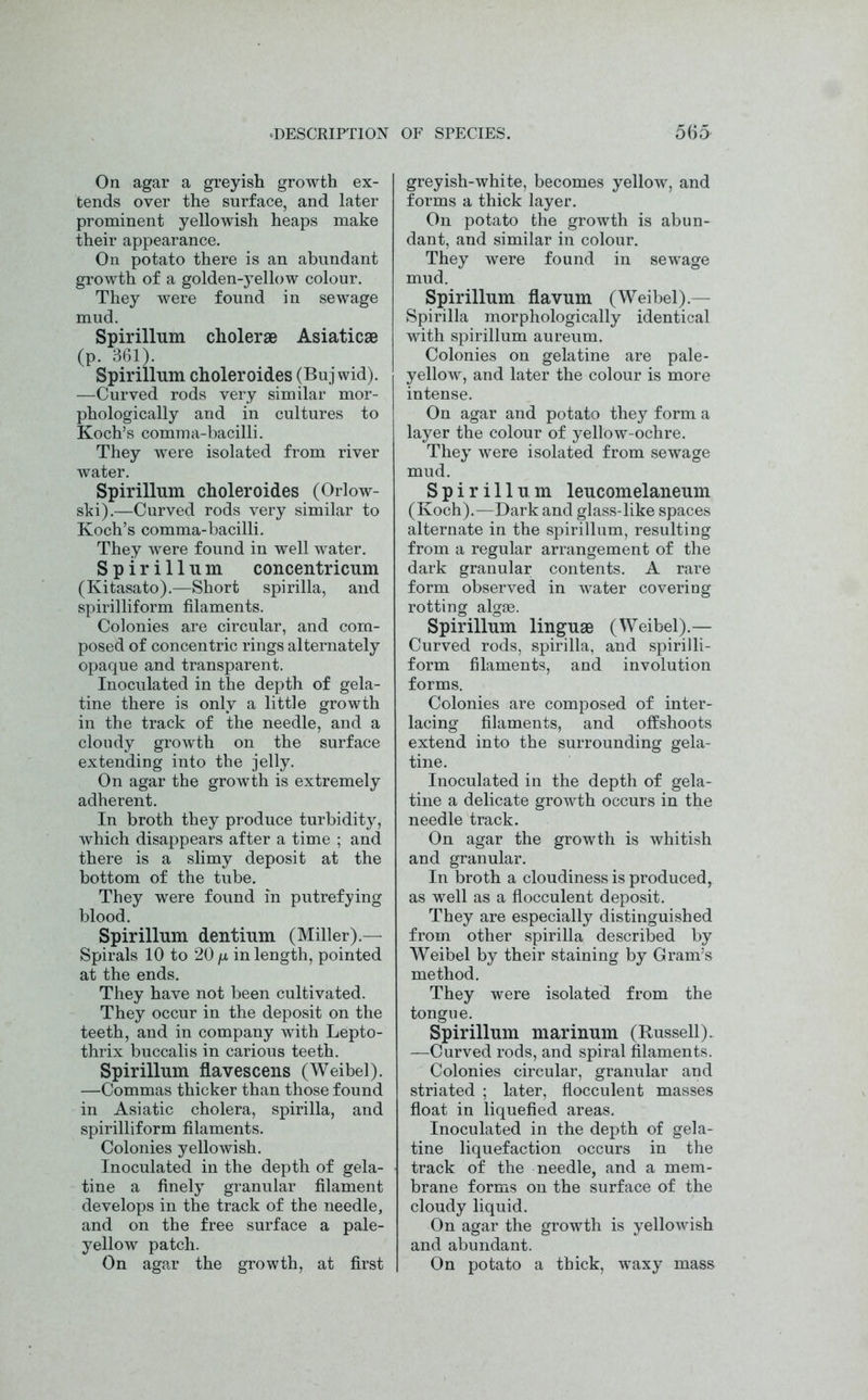 On agar a greyish growth ex- tends over the surface, and later prominent yellowish heaps make their appearance. On potato there is an abundant growth of a golden-yellow colour. They were found in sewage mud. Spirillum cholerae Asiatic* (p. 361). Spirillum choleroides (Buj wid). —Curved rods very similar mor- phologically and in cultures to Koch’s comma-bacilli. They were isolated from river water. Spirillum choleroides (Orlow- ski).—Curved rods very similar to Koch’s comma-bacilli. They were found in well water. Spirillum concentricum (Kitasato).—Short spirilla, and spirilliform filaments. Colonies are circular, and com- posed of concentric rings alternately opaque and transparent. Inoculated in the depth of gela- tine there is only a little growth in the track of the needle, and a cloudy growth on the surface extending into the jelly. On agar the growth is extremely adherent. In broth they produce turbidity, which disappears after a time ; and there is a slimy deposit at the bottom of the tube. They were found in putrefying blood. Spirillum dentium (Miller).— Spirals 10 to 20 /x in length, pointed at the ends. They have not been cultivated. They occur in the deposit on the teeth, and in company with Lepto- thrix buccalis in carious teeth. Spirillum flavescens (Weibel). —Commas thicker than those found in Asiatic cholera, spirilla, and spirilliform filaments. Colonies yellowish. Inoculated in the depth of gela- tine a finely granular filament develops in the track of the needle, and on the free surface a pale- yellow patch. On agar the growth, at first greyish-white, becomes yellow, and forms a thick layer. On potato the growth is abun- dant, and similar in colour. They were found in sewage mud. Spirillum flavum (Weibel).— Spirilla morphologically identical with spirillum aureum. Colonies on gelatine are pale- yellow, and later the colour is more intense. On agar and potato they form a layer the colour of yellow-ochre. They were isolated from sewage mud. Spirillum leucomelaneum (Koch).—Dark and glass-like spaces alternate in the spirillum, resulting from a regular arrangement of the dark granular contents. A rare form observed in water covering rotting algae. Spirillum ling;uae (Weibel).— Curved rods, spirilla, and spirilli- form filaments, and involution forms. Colonies are composed of inter- lacing filaments, and offshoots extend into the surrounding gela- tine. Inoculated in the depth of gela- tine a delicate growth occurs in the needle track. On agar the growth is whitish and granular. In broth a cloudiness is produced, as well as a flocculent deposit. They are especially distinguished from other spirilla described by Weibel by their staining by Gram’s method. They were isolated from the tongue. Spirillum marinum (Russell). —Curved rods, and spiral filaments. Colonies circular, granular and striated ; later, flocculent masses float in liquefied areas. Inoculated in the depth of gela- tine liquefaction occurs in the track of the needle, and a mem- brane forms on the surface of the cloudy liquid. On agar the growth is yellowish and abundant. On potato a thick, waxy mass
