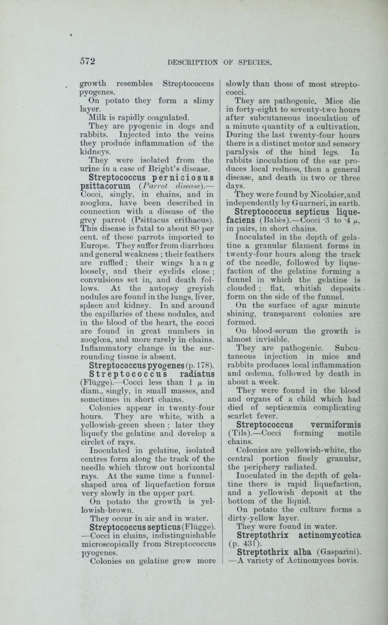 growth resembles Streptococcus pyogenes. On potato they form a slimy layer. Milk is rapidly coagulated. They are pyogenic in dogs and rabbits. Injected into the veins they produce inflammation of the kidneys. They were isolated from the urine in a case of Bright’s disease. Streptococcus pernieiosus psittacorum (Parrot disease).— Cocci, singly, in chains, and in zoogloea, have been described in connection with a disease of the grey parrot (Psittacus erithacus). This disease is fatal to about 80 per cent, of these parrots imported to Europe. They suffer from diarrhoea and general weakness ; their feathers are ruffled ; their wings hang loosely, and their eyelids close; convulsions set in, and death fol- lows. At the autopsy greyish nodules are found in the lungs, liver, spleen and kidney. In and around the capillaries of these nodules, and in the blood of the heart, the cocci are found in great numbers in zoogloea, and more rarely in chains. Inflammatory change in the sur- rounding tissue is absent. Streptococcus pyogenes (p. 178). Streptococcus radiatus (Fliigge).—Cocci less than 1 /u. in diam., singly, in small masses, and sometimes in short chains. Colonies appear in twenty-four hours. They are white, with a yellowish-green sheen ; later they liquefy the gelatine and develop a circlet of rays. Inoculated in gelatine, isolated centres form along the track of the needle which throw out horizontal rays. At the same time a funnel- shaped area of liquefaction forms very slowly in the upper part. On potato the growth is yel- lowish-brown. They occur in air and in water. Streptococcus septicus (Fliigge). —Cocci in chains, indistinguishable microscopically from Streptococcus pyogenes. Colonies on gelatine grow more slowly than those of most strepto- cocci. They are pathogenic. Mice die in forty-eight to seventy-two hours after subcutaneous inoculation of a minute quantity of a cultivation. During the last twenty-four hours there is a distinct motor and sensory paralysis of the hind legs. In rabbits inoculation of the ear pro- duces local redness, then a general disease, and death in two or three days. They were found by Nicolaier,and independently by Guarneri, in earth. Streptococcus septicus lique- faciens (Babes).—Cocci *3 to *4 /*, in pairs, in short chains. Inoculated in the depth of gela- tine a granular filament forms in twenty-four hours along the track of the needle, followed by lique- faction of the gelatine forming a funnel in which the gelatine is clouded ; flat, whitish deposits form on the side of the funnel. On the surface of agar minute shining, transparent colonies are formed. On blood-serum the growth is almost invisible. They are pathogenic. Subcu- taneous injection in mice and rabbits produces local inflammation and oedema, followed by death in about a week. They were found in the blood and organs of a child which had died of septicaemia complicating scarlet fever. Streptococcus vermiformis (Tils).—Cocci forming motile chains. Colonies are yellowish-white, the central portion finely granular, the periphery radiated. Inoculated in the depth of gela- tine there is rapid liquefaction, and a yellowish deposit at the bottom of the liquid. On potato the culture forms a dirty-yellow layer. They were found in water. Streptothrix actinomycotica (P. 431). Streptothrix alba (Gasparini). —A variety of Actinomyces bovis.