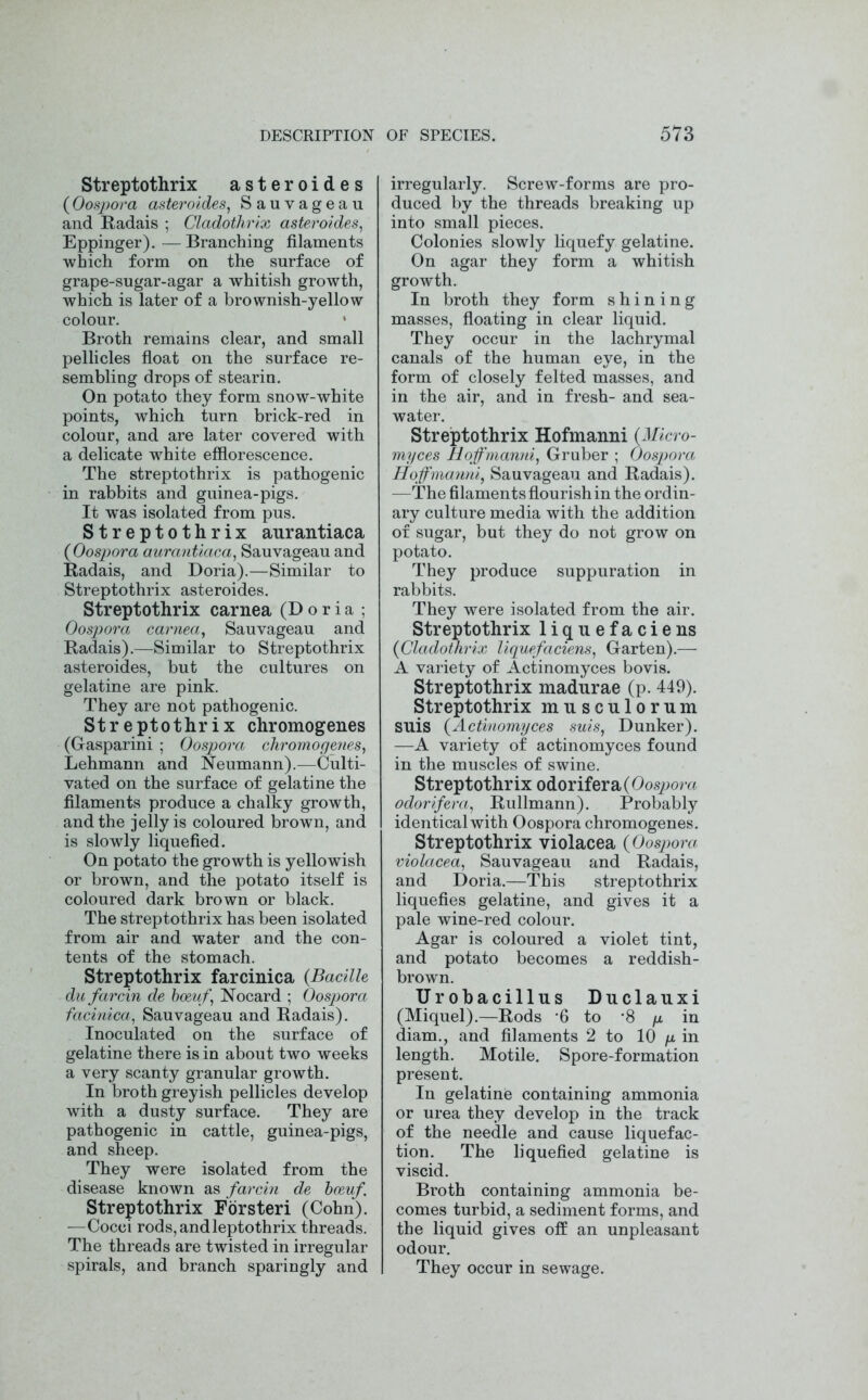 Streptothrix aster oides (Oospora asteroides, Sauvageau and Radais ; Cladothrix asteroides, Eppinger). — Branching filaments which form on the surface of grape-sugar-agar a whitish growth, which is later of a brownish-yellow colour. Broth remains clear, and small pellicles float on the surface re- sembling drops of stearin. On potato they form snow-white points, which turn brick-red in colour, and are later covered with a delicate white efflorescence. The streptothrix is pathogenic in rabbits and guinea-pigs. It was isolated from pus. Streptothrix aurantiaca {Oospora aurantiaca, Sauvageau and Radais, and Doria).—Similar to Streptothrix asteroides. Streptothrix carnea (Doria ; Oospora carnea, Sauvageau and Radais).—Similar to Streptothrix asteroides, but the cultures on gelatine are pink. They are not pathogenic. Streptothrix chromogenes (Gasparini ; Oospora chromogenes, Lehmann and Neumann).—Culti- vated on the surface of gelatine the filaments produce a chalky growth, and the jelly is coloured brown, and is slowly liquefied. On potato the growth is yellowish or brown, and the potato itself is coloured dark brown or black. The streptothrix has been isolated from air and water and the con- tents of the stomach. Streptothrix farcinica {Bacille du farcin de boeuf Nocard ; Oospora facinica, Sauvageau and Radais). Inoculated on the surface of gelatine there is in about two weeks a very scanty granular growth. In broth greyish pellicles develop with a dusty surface. They are pathogenic in cattle, guinea-pigs, and sheep. They were isolated from the disease known as farcin de boeuf. Streptothrix Forsteri (Cohn). —Cocci rods, andleptothrix threads. The threads are twisted in irregular spirals, and branch sparingly and irregularly. Screw-forms are pro- duced by the threads breaking up into small pieces. Colonies slowly liquefy gelatine. On agar they form a whitish growth. In broth they form shining masses, floating in clear liquid. They occur in the lachrymal canals of the human eye, in the form of closely felted masses, and in the air, and in fresh- and sea- water. Streptothrix Hofmanni (Micro- myces Roffmanni, Gruber ; Oospora Hofmanni, Sauvageau and Radais). —The filaments flourish in the ordin- ary culture media with the addition of sugar, but they do not grow on potato. They produce suppuration in rabbits. They were isolated from the air. Streptothrix liquefaciens (Cladothrix liquefaciens, Garten).—- A variety of Actinomyces bovis. Streptothrix madurae (p. 449). Streptothrix musculorum suis (Actinomyces suis, Dunker). —A variety of actinomyces found in the muscles of swine. Streptothrix odorifer a (Oosptora odorifera, Rullmann). Probably identical with Oospora chromogenes. Streptothrix violacea {Oospora violacea, Sauvageau and Radais, and Doria.—This streptothrix liquefies gelatine, and gives it a pale wine-red colour. Agar is coloured a violet tint, and potato becomes a reddish- brown. Urobacillus Duclauxi (Miquel).—Rods ’6 to *8 y in diam., and filaments 2 to 10 g in length. Motile. Spore-formation present. In gelatine containing ammonia or urea they develop in the track of the needle and cause liquefac- tion. The liquefied gelatine is viscid. Broth containing ammonia be- comes turbid, a sediment forms, and the liquid gives off an unpleasant odour. They occur in sewage.