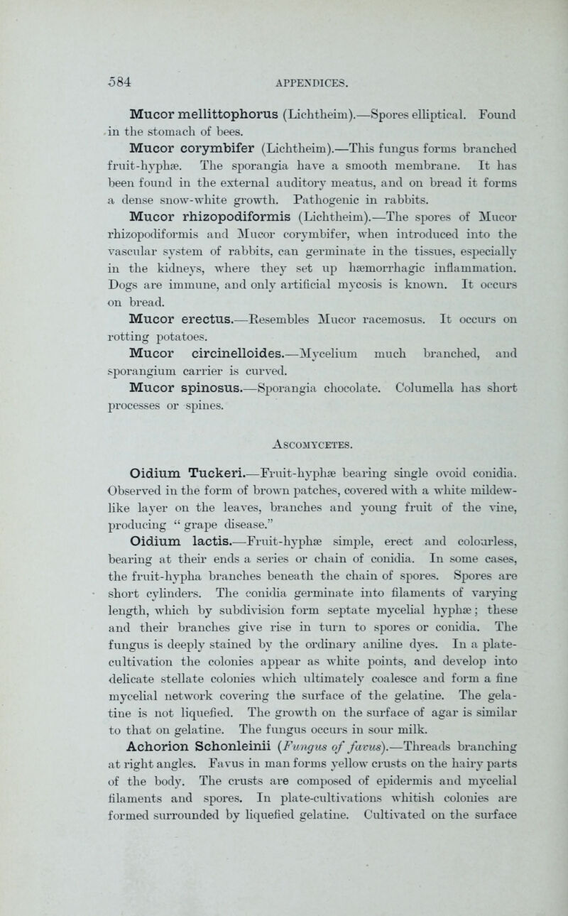 Mucor mellittophorus (Lichtheim).—Spores elliptical. Found in the stomach of bees. Mucor corymbifer (Lichtheim).—This fungus forms branched fruit-hyphae. The sporangia have a smooth membrane. It has been found in the external auditory meatus, and on bread it forms a, dense snow-white growth. Pathogenic in rabbits. Mucor rhizopodiformis (Lichtheim).—The spores of Mucor rhizopodiformis and Mucor corymbifer, when introduced into the vascular system of rabbits, can germinate in the tissues, especially in the kidneys, where they set up haemorrhagic inflammation. Dogs are immune, and only artificial mycosis is known. It occurs on bread. Mucor erectus.—Resembles Mucor racemosus. It occurs on rotting potatoes. Mucor circinelloides.—Mycelium much branched, and sporangium carrier is curved. Mucor spinosus.—Sporangia chocolate. Columella has short processes or spines. Ascomycetes. Oidium Tuckeri.—Fruit-hyphse bearing single ovoid conidia. Observed in the form of brown patches, covered with a white mildew- like layer on the leaves, branches and young fruit of the vine, producing “ grape disease.” Oidium lactis.—Fruit-hyphse simple, erect and colourless, bearing at their ends a series or chain of conidia. In some cases, the fruit-hypha branches beneath the chain of spores. Spores are short cylinders. The conidia germinate into filaments of varying length, which by subdivision form septate mycelial hyphse; these and their branches give rise in turn to spores or conidia. The fungus is deeply stained by the ordinary aniline dyes. In a plate- cultivation the colonies appear as white points, and develop into delicate stellate colonies which ultimately coalesce and form a fine mycelial network covering the surface of the gelatine. The gela- tine is not liquefied. The growth on the surface of agar is similar to that on gelatine. The fungus occurs in sour milk. Achorion Sehonleinii (Fungus of favus).-—Threads branching at right angles. Favus in man forms yellow crusts on the hairy parts of the body. The crusts are composed of epidermis and mycelial filaments and spores. In plate-cultivations whitish colonies are formed surrounded by liquefied gelatine. Cultivated on the surface