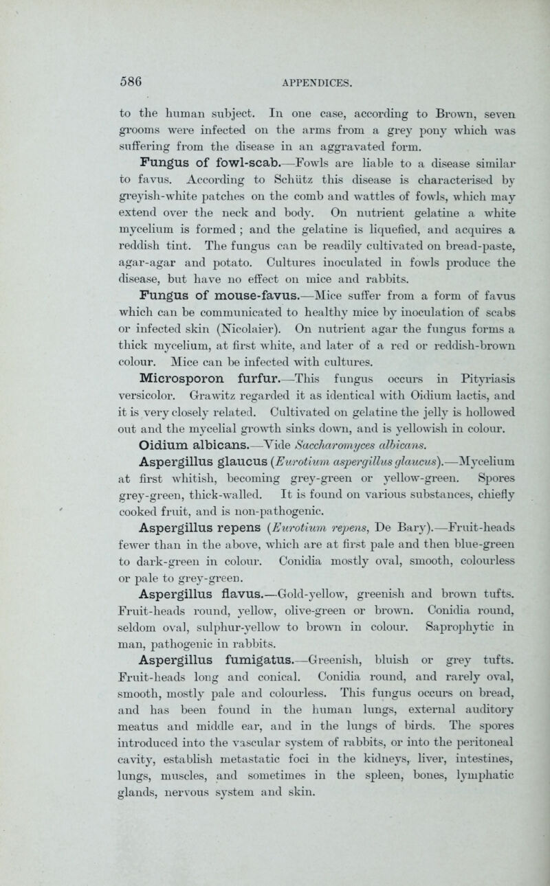 to the human subject. In one case, according to Brown, seven grooms were infected on the arms from a grey pony which was suffering from the disease in an aggravated form. Fungus of fowl-scab.—Fowls are liable to a disease similar to favus. According to Schiitz this disease is characterised by greyish-white patches on the comb and wattles of fowls, which may extend over the neck and body. On nutrient gelatine a white mycelium is formed ; and the gelatine is liquefied, and acquires a reddish tint. The fungus can be readily cultivated on bread-paste, agar-agar and potato. Cultures inoculated in fowls produce the disease, but have no effect on mice and rabbits. Fungus of mouse-favus.—Mice suffer from a form of favus which can be communicated to healthy mice by inoculation of scabs or infected skin (Nicolaier). On nutrient agar the fungus forms a thick mycelium, at first white, and later of a red or reddish-brown colour. Mice can be infected with cultures. Microsporon furfur.—This fungus occurs in Pityriasis versicolor. Grawitz regarded it as identical with Oidium lactis, and it is very closely related. Cultivated on gelatine the jelly is hollowed out and the mycelial growth sinks down, and is yellowish in colour. Oidium albicans.—Vide Sacchciromyces albicans. Aspergillus glaucus (Eurotiwm aspergillus glaucus).—Mycelium at first whitish, becoming grey-green or yellow-green. Spores grey-green, thick-walled. It is found on various substances, chiefly cooked fruit, and is non-pathogenic. Aspergillus repens (Eurotium repens, De Bary).—Fruit-heads fewer than in the above, which are at first pale and then blue-green to dark-green in colour. Conidia mostly oval, smooth, colourless or pale to grey-green. Aspergillus flavus.—Gold-yellow, greenish and brown tufts. Fruit-heads round, yellow, olive-green or brown. Conidia round, seldom oval, sulphur-yellow to brown in colour. Saprophytic in man, pathogenic in rabbits. Aspergillus fumigatus.—Greenish, bluish or grey tufts. Fruit-heads long and conical. Conidia round, and rarely oval, smooth, mostly pale and colourless. This fungus occurs on bread, and has been found in the human lungs, external auditory meatus and middle ear, and in the lungs of birds. The spores introduced into the vascular system of rabbits, or into the peritoneal cavity, establish metastatic foci in the kidneys, liver, intestines, lungs, muscles, and sometimes in the spleen, bones, lymphatic glands, nervous system and skin.